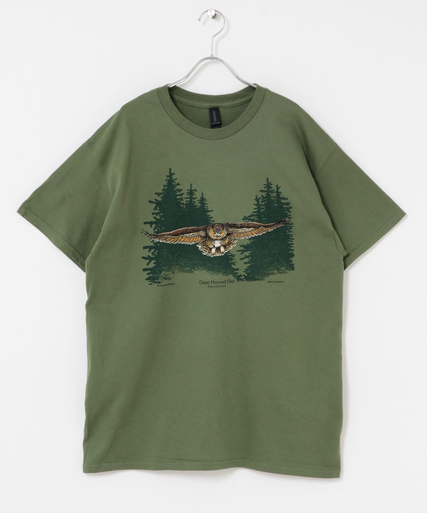 OLIVE
