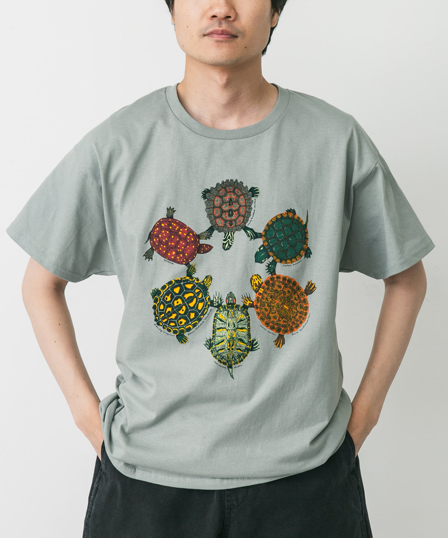 LIBERTY GRAPHICS　Turtle Circle