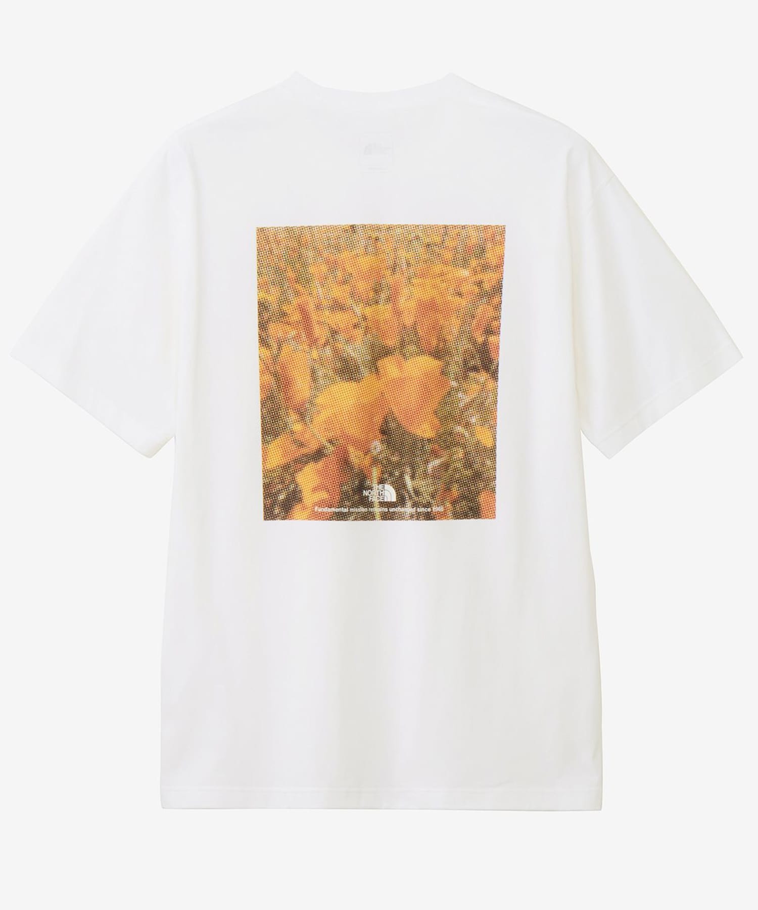 THE NORTH FACE　Short-Sleeve FDPixelPlantCottonTee W M