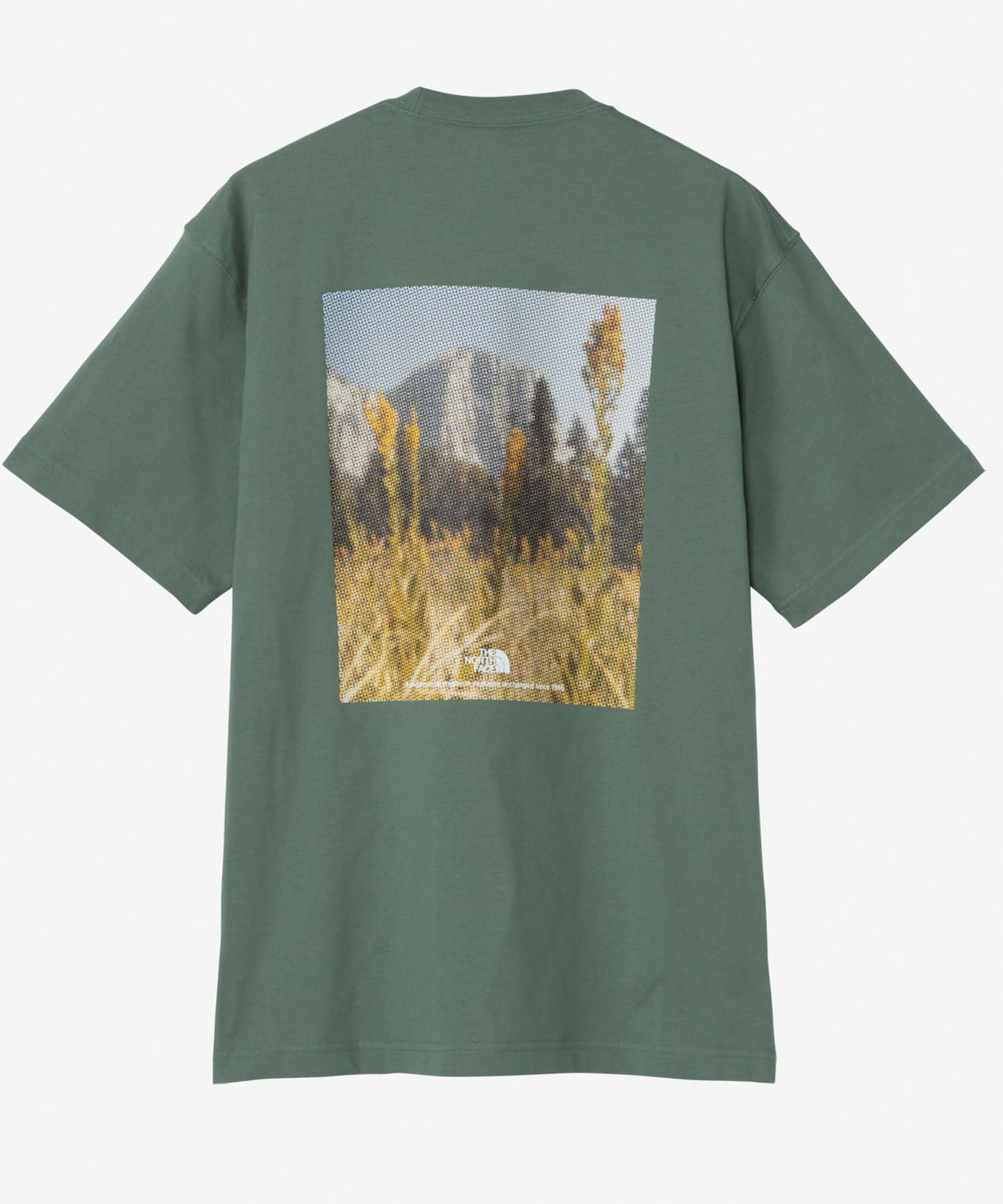 THE NORTH FACE　Short-Sleeve FDPixelPlantCottonTee DG M