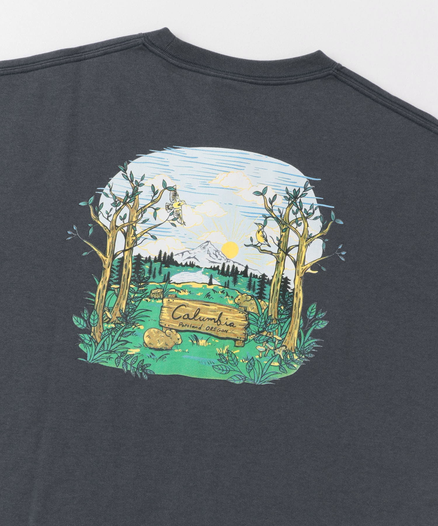 Columbia　サンダーマウンテングラフィックショートスリーブTシャツ C.Navy M