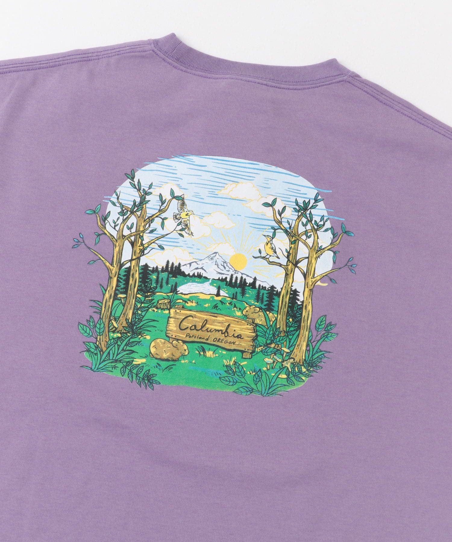 Columbia　サンダーマウンテングラフィックショートスリーブTシャツ Grape Gum M