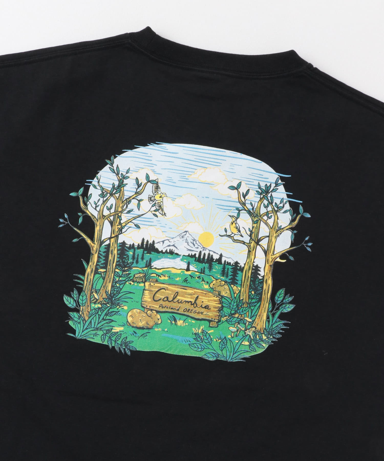 Columbia　サンダーマウンテングラフィックショートスリーブTシャツ Black M