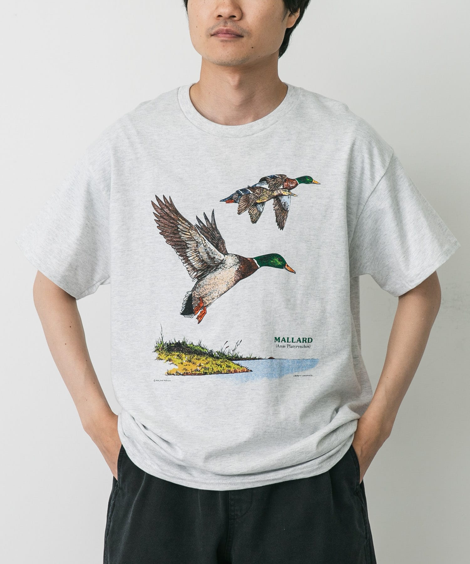 LIBERTY GRAPHICS　Mallards