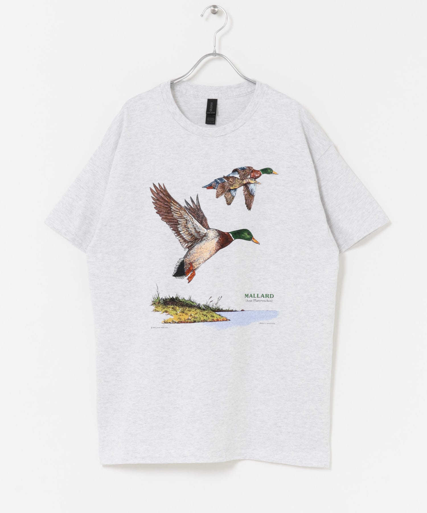 LIBERTY GRAPHICS　Mallards ASH L