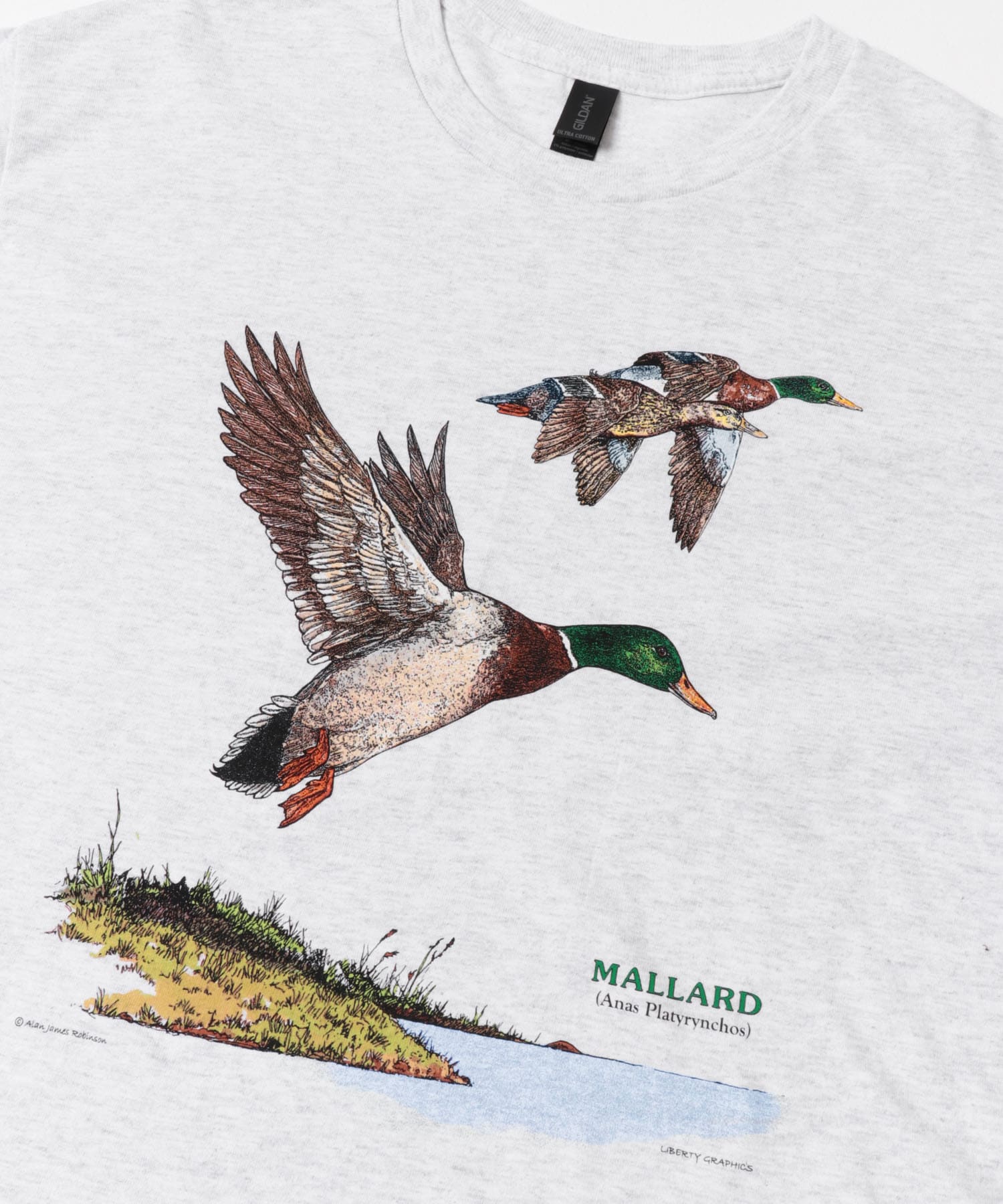 LIBERTY GRAPHICS　Mallards ASH L