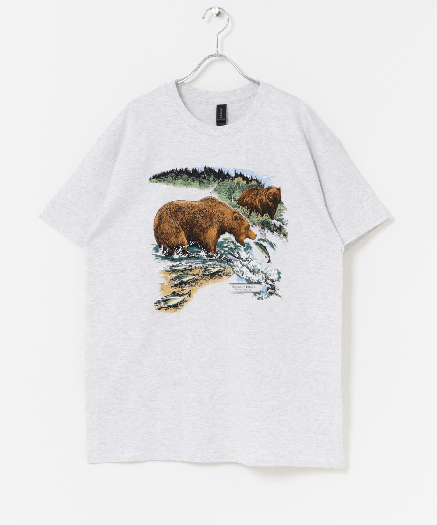 LIBERTY GRAPHICS　Grizzly Bears ASH L