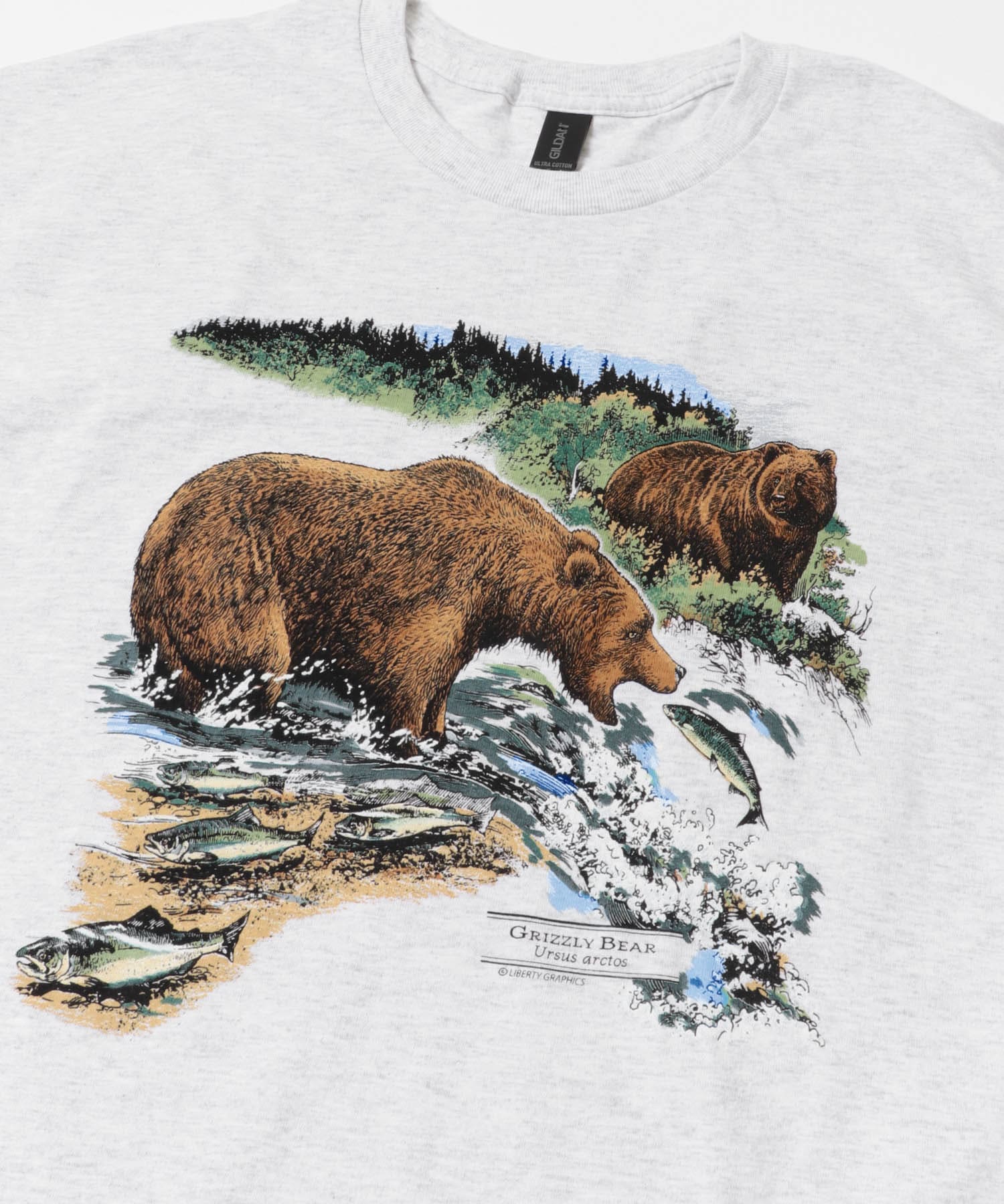 LIBERTY GRAPHICS　Grizzly Bears ASH L