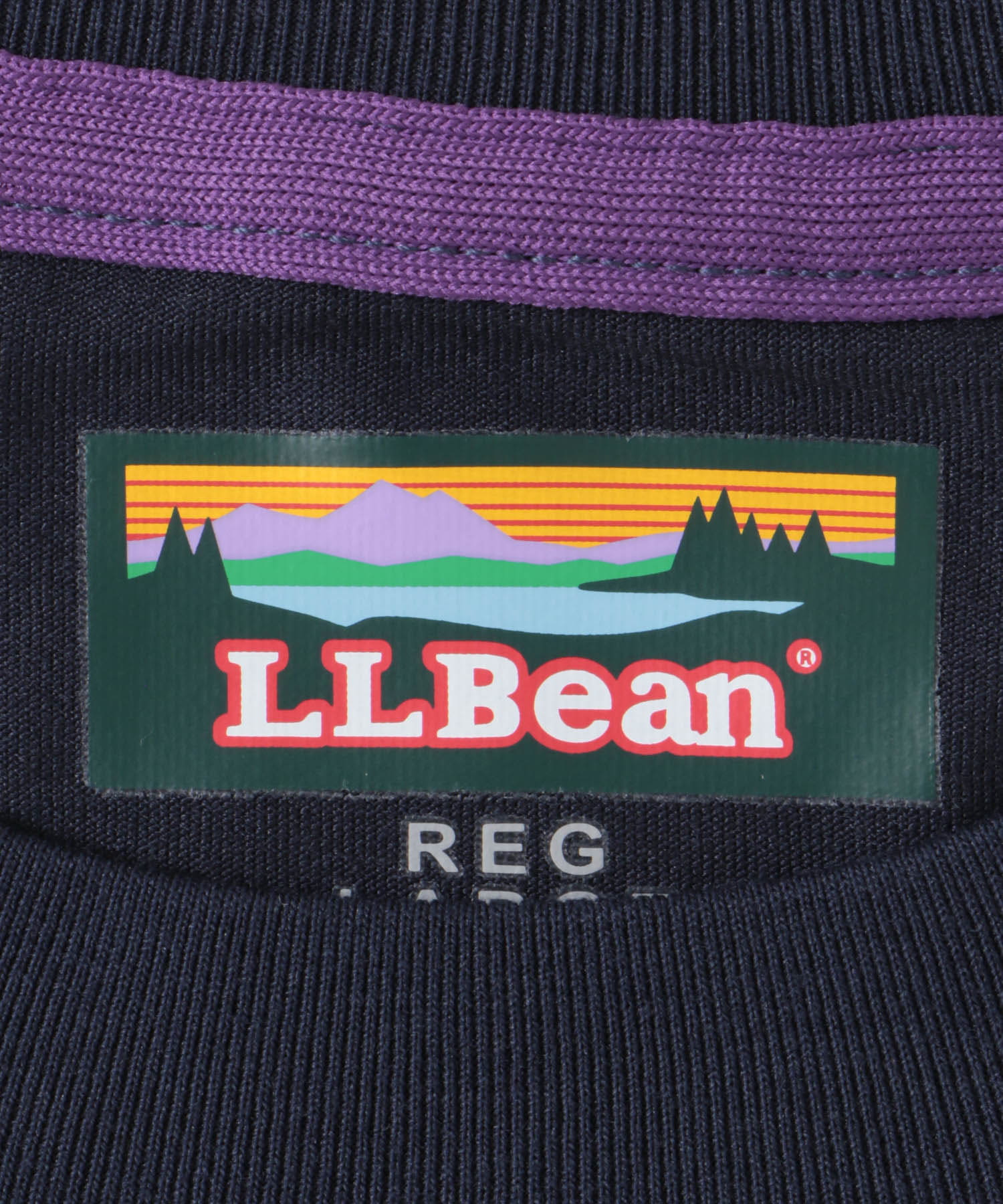 L.L.Bean　Canton Mt Lake Graphic T-shirts Navy M