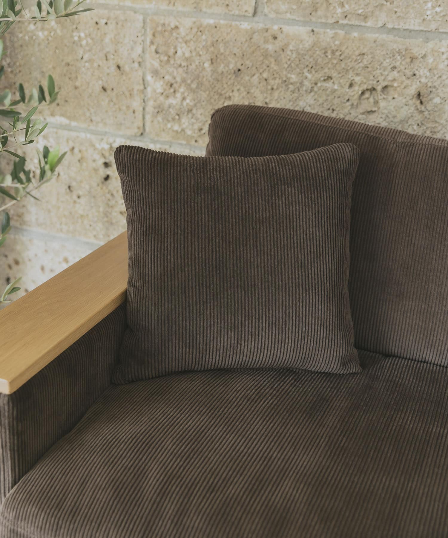 BOTHY Clubhouse Sofa 3P CD BROWN -