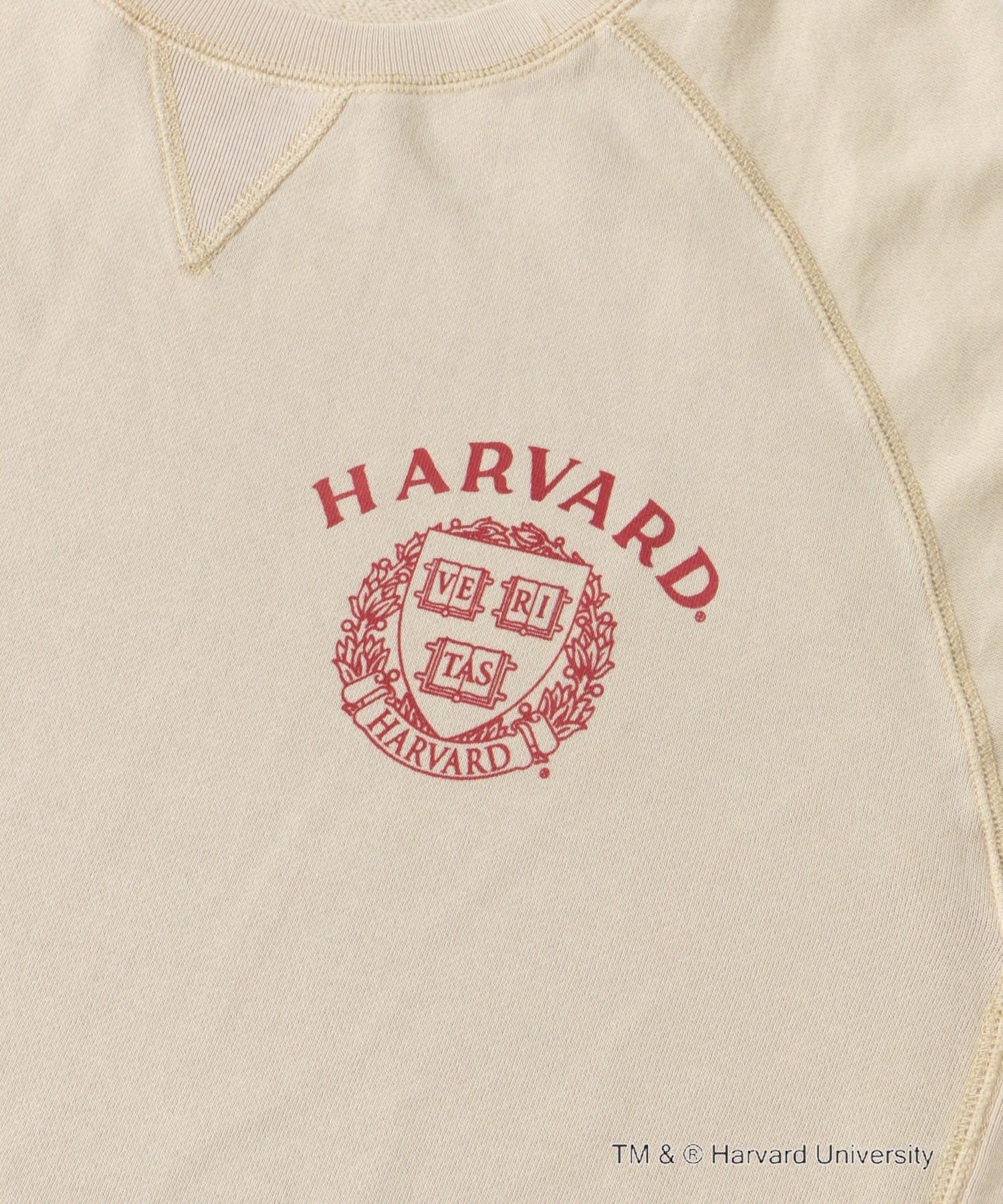『一部別注カラー』GOOD ROCK SPEED　HARVARD UNIVERSITY BEIGE FREE