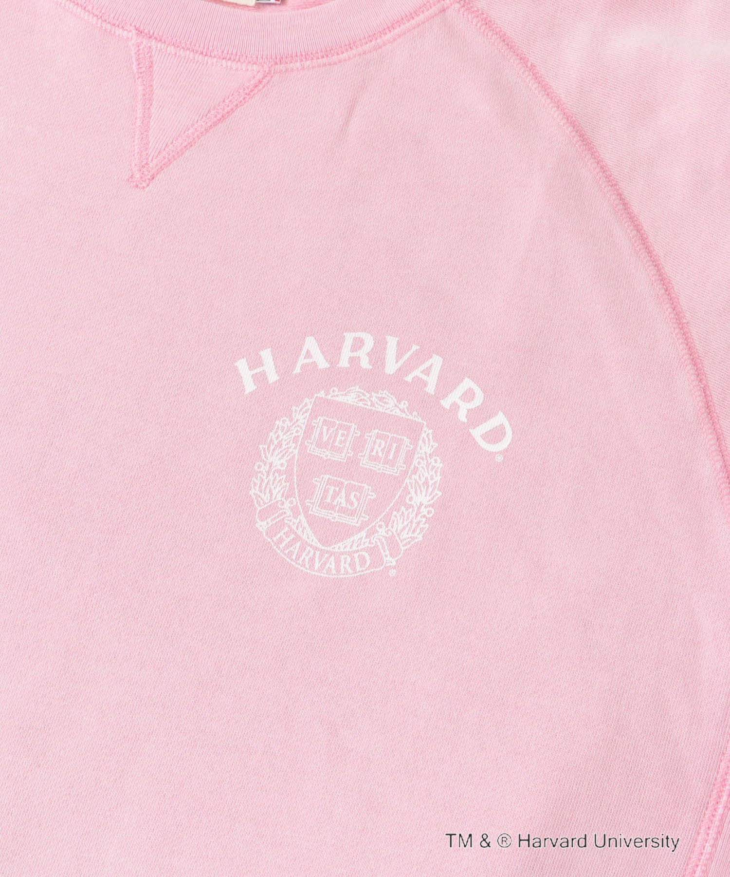 『一部別注カラー』GOOD ROCK SPEED　HARVARD UNIVERSITY 別注PINK FREE