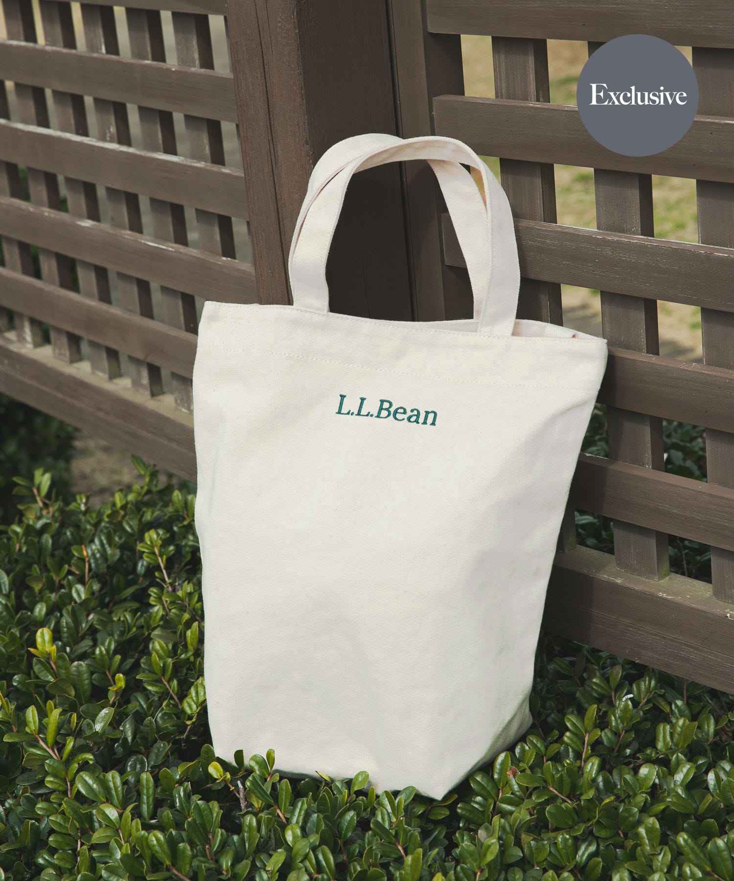 別注』L.L.Bean×DOORS Shoulder Strap Tote M(one Natural): バッグ