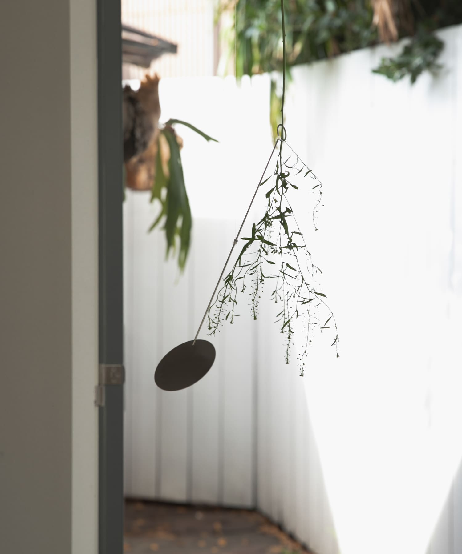 『WEB限定』graf　vase mobile disk