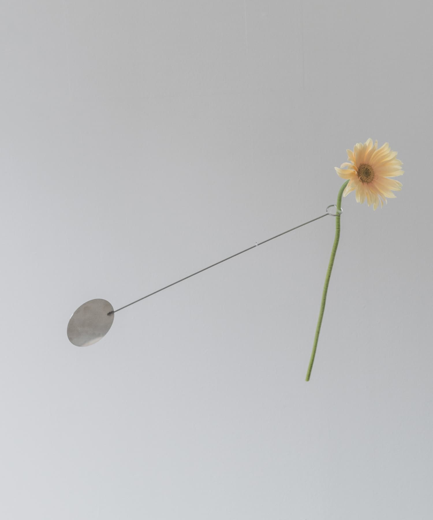 『WEB限定』graf　vase mobile disk - -
