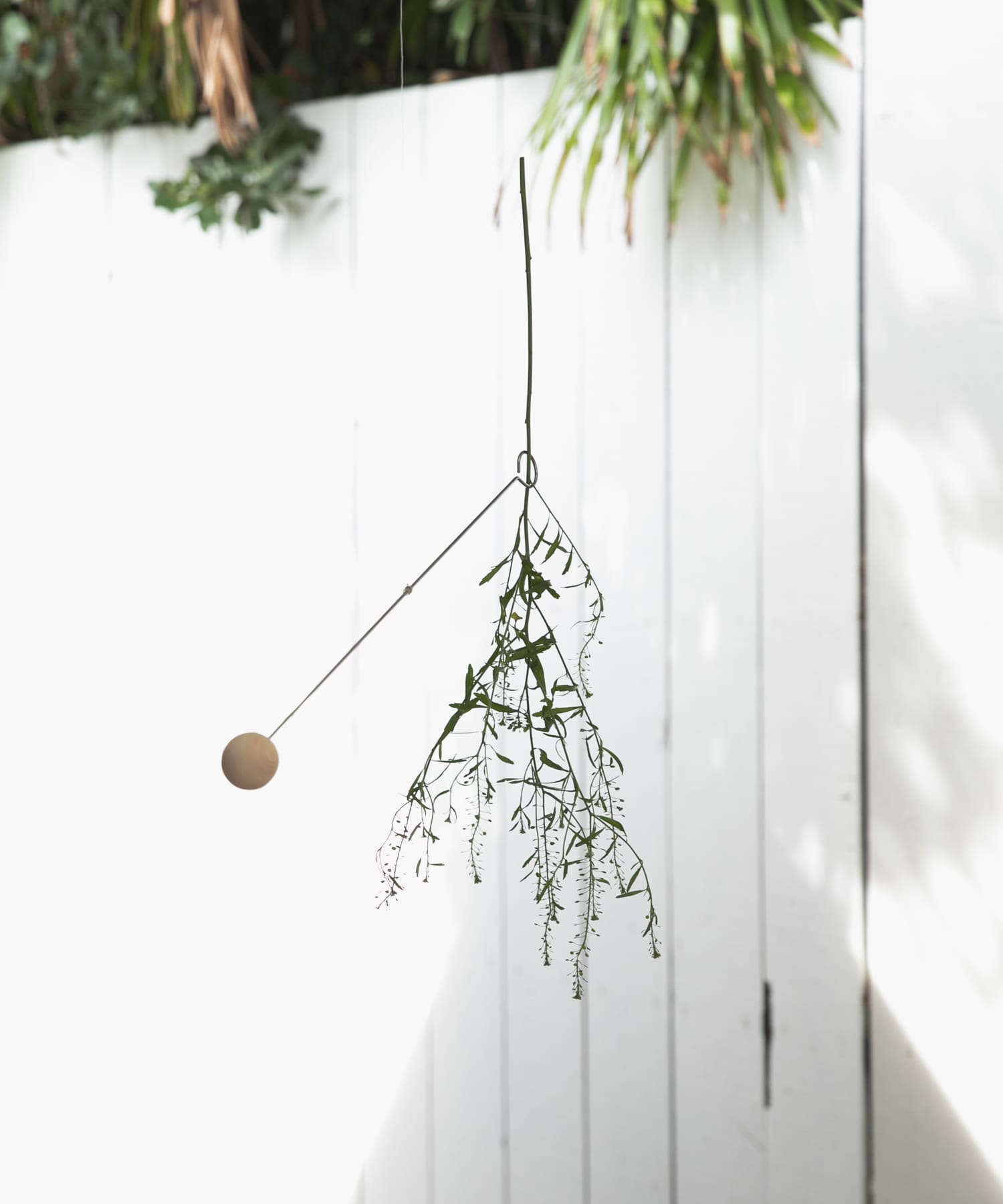 『WEB限定』graf　vase mobile ball