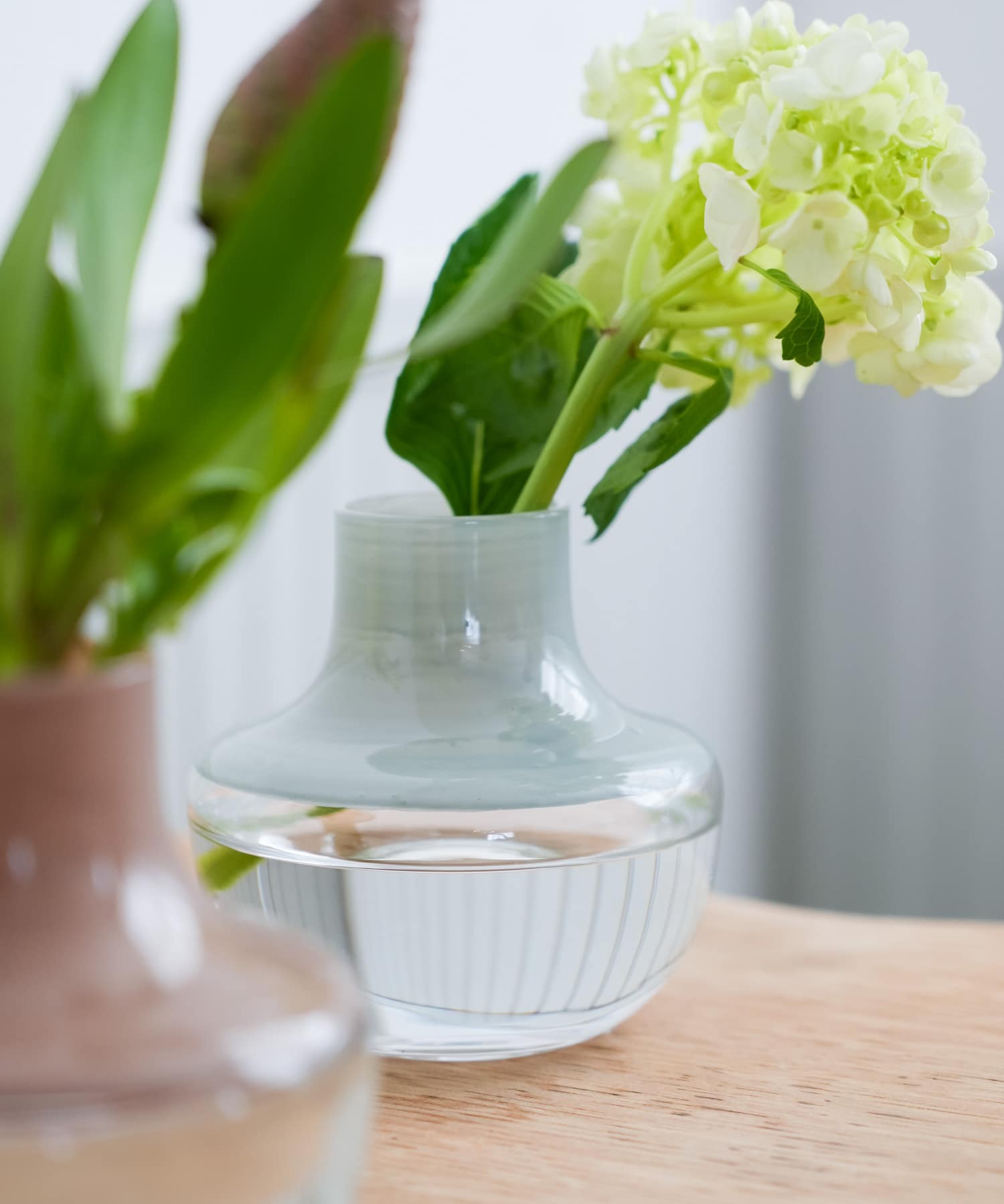 『WEB限定』AXCIS　PUDIN ガラスベース