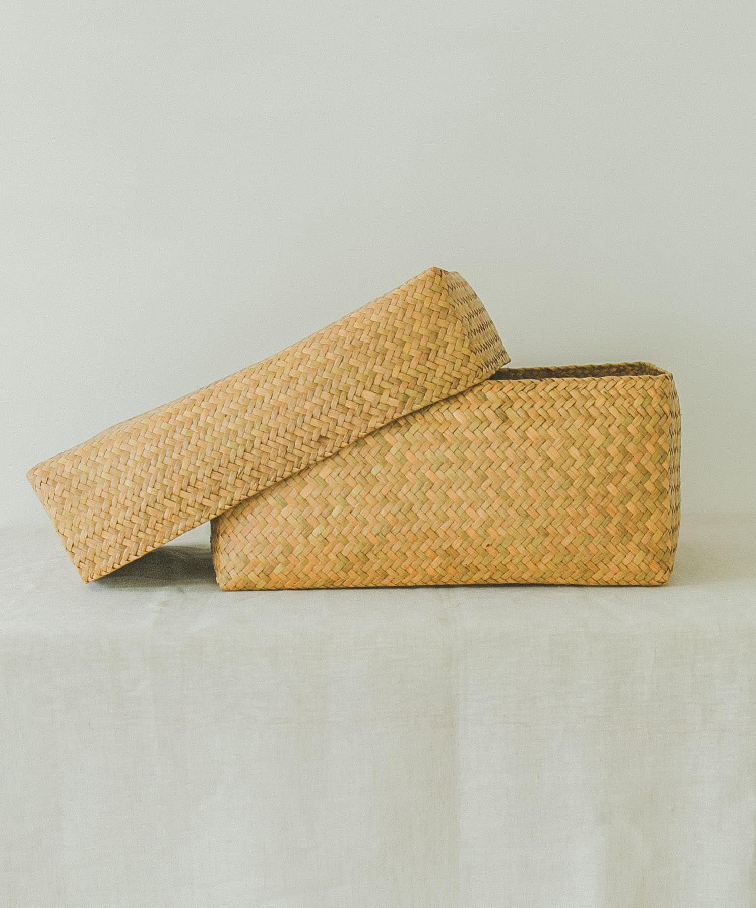 『WEB限定』サイアム　カチュー水草ふた付き四角BOX L