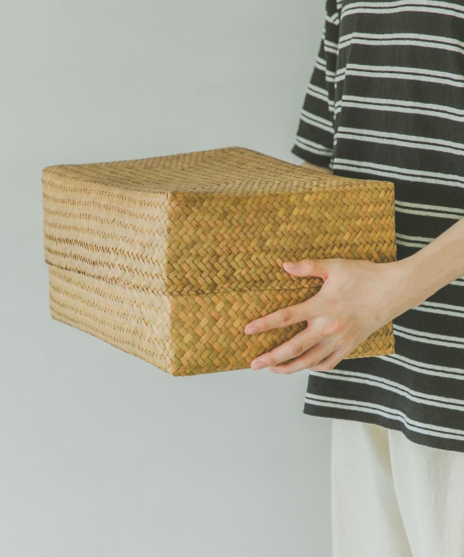 『WEB限定』サイアム　カチュー水草ふた付き四角BOX M - M
