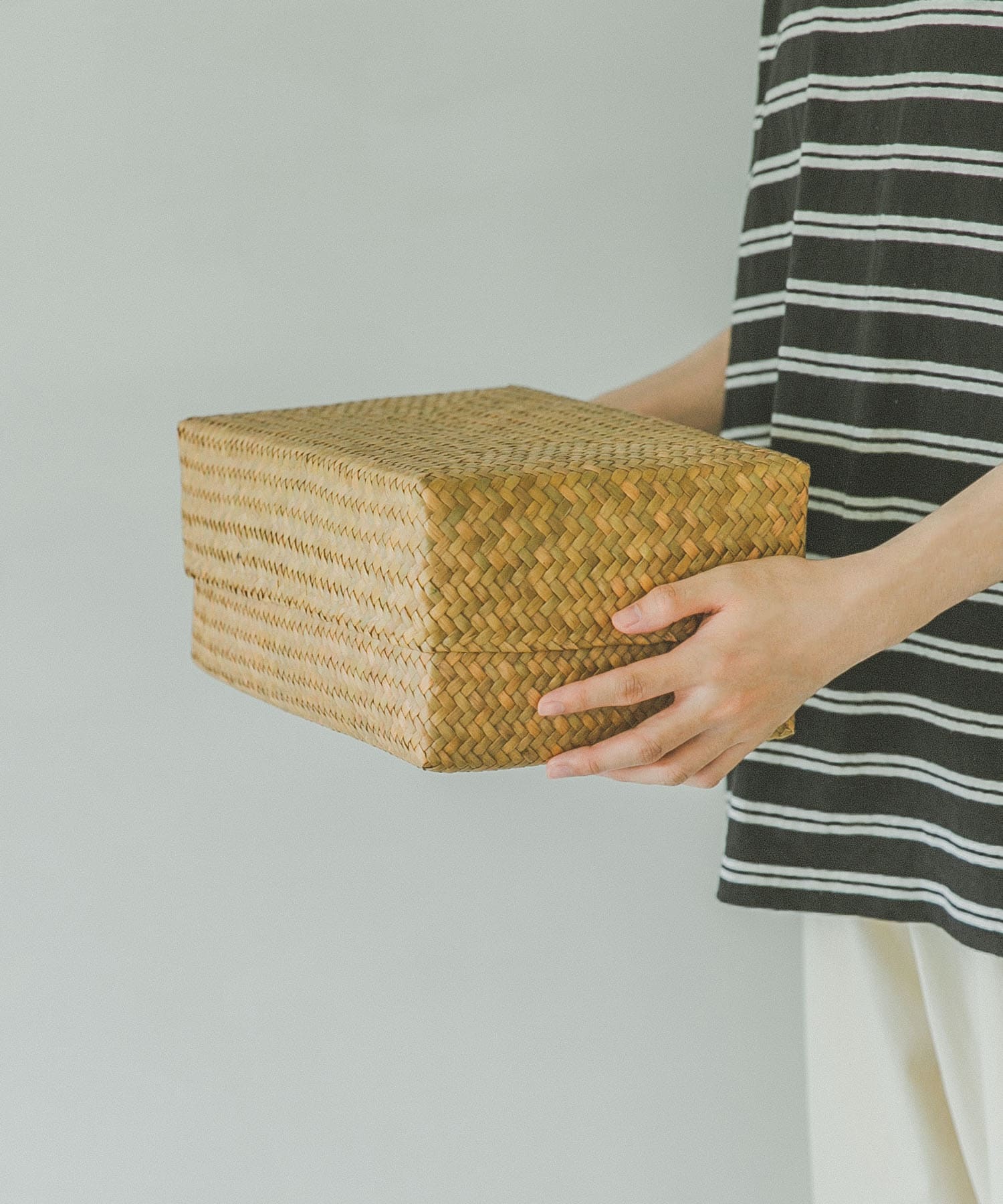 『WEB限定』サイアム　カチュー水草ふた付き四角BOX S - S