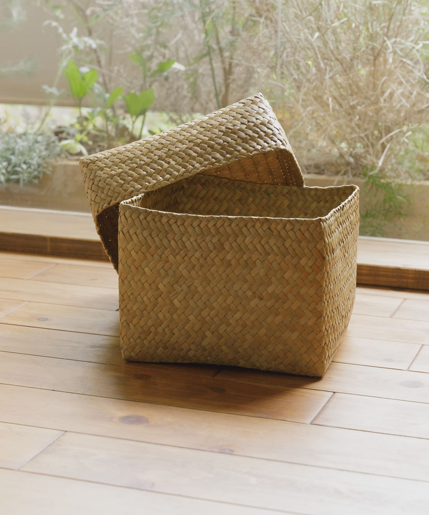 『WEB限定』サイアム　カチュー水草ふた付き四角BOX L