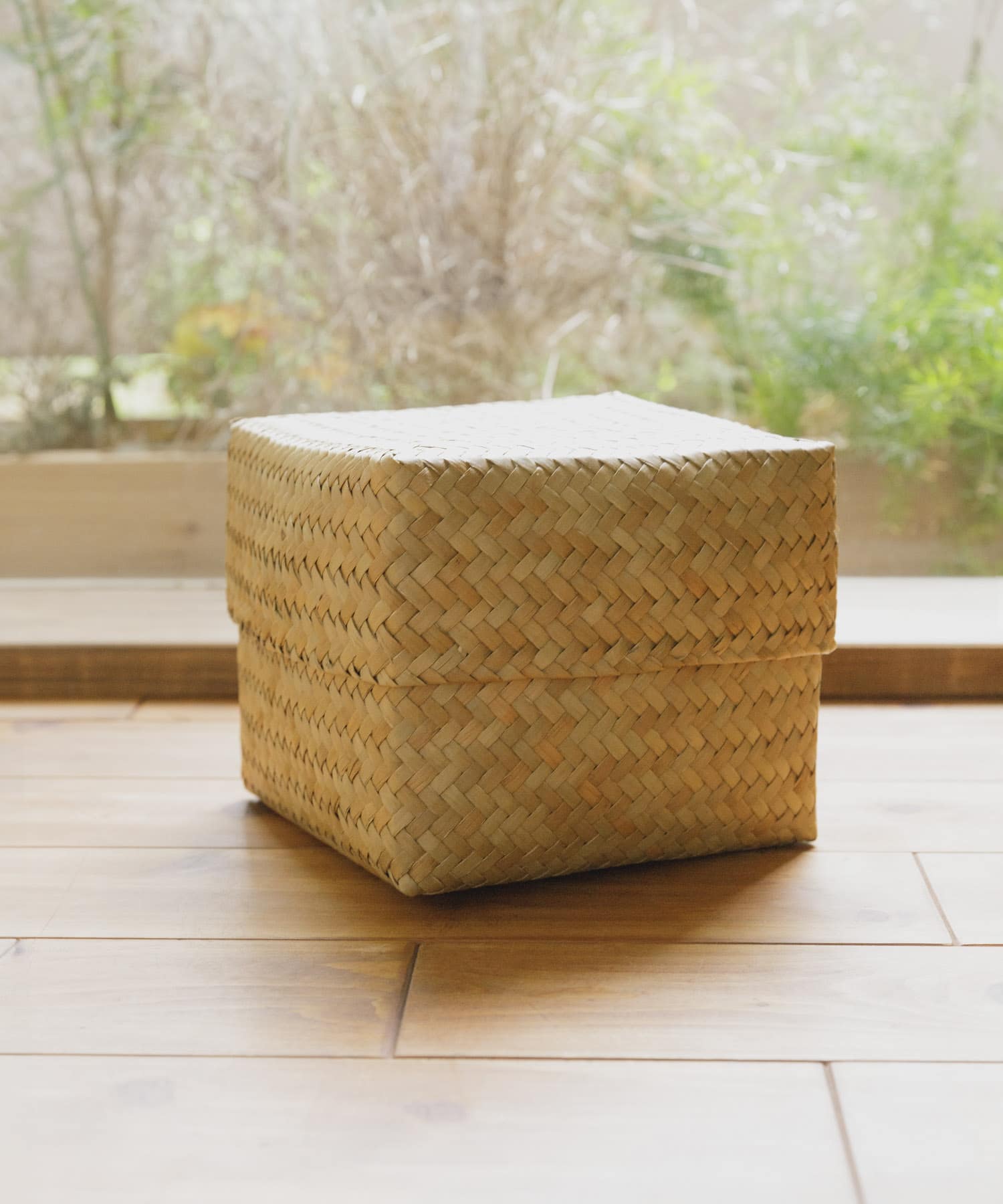 『WEB限定』サイアム　カチュー水草ふた付き四角BOX L スクエア L