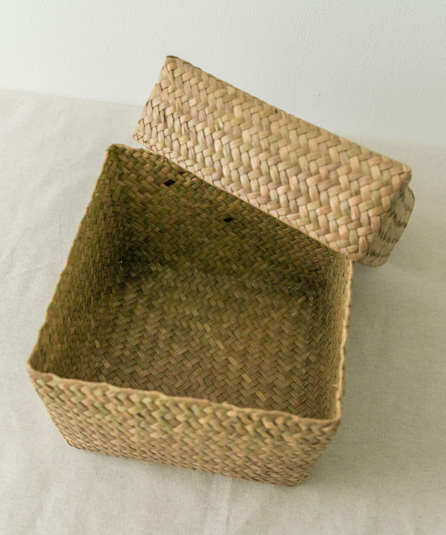 『WEB限定』サイアム　カチュー水草ふた付き四角BOX L スクエア L