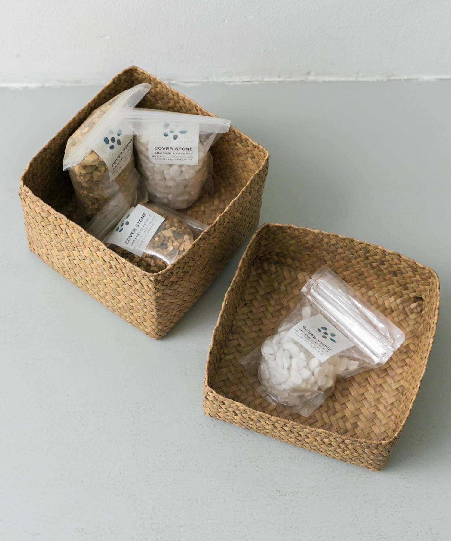 『WEB限定』サイアム　カチュー水草ふた付き四角BOX M スクエア M