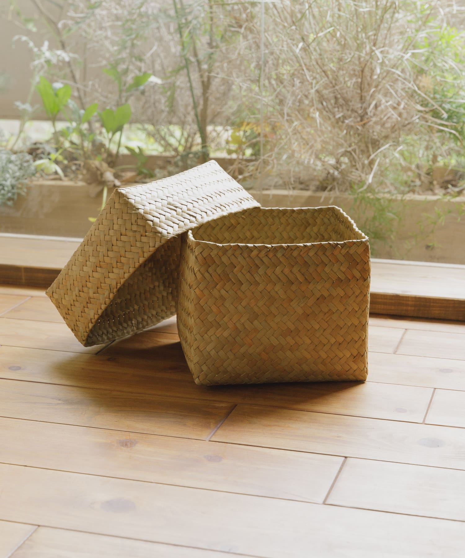『WEB限定』サイアム　カチュー水草ふた付き四角BOX M スクエア M