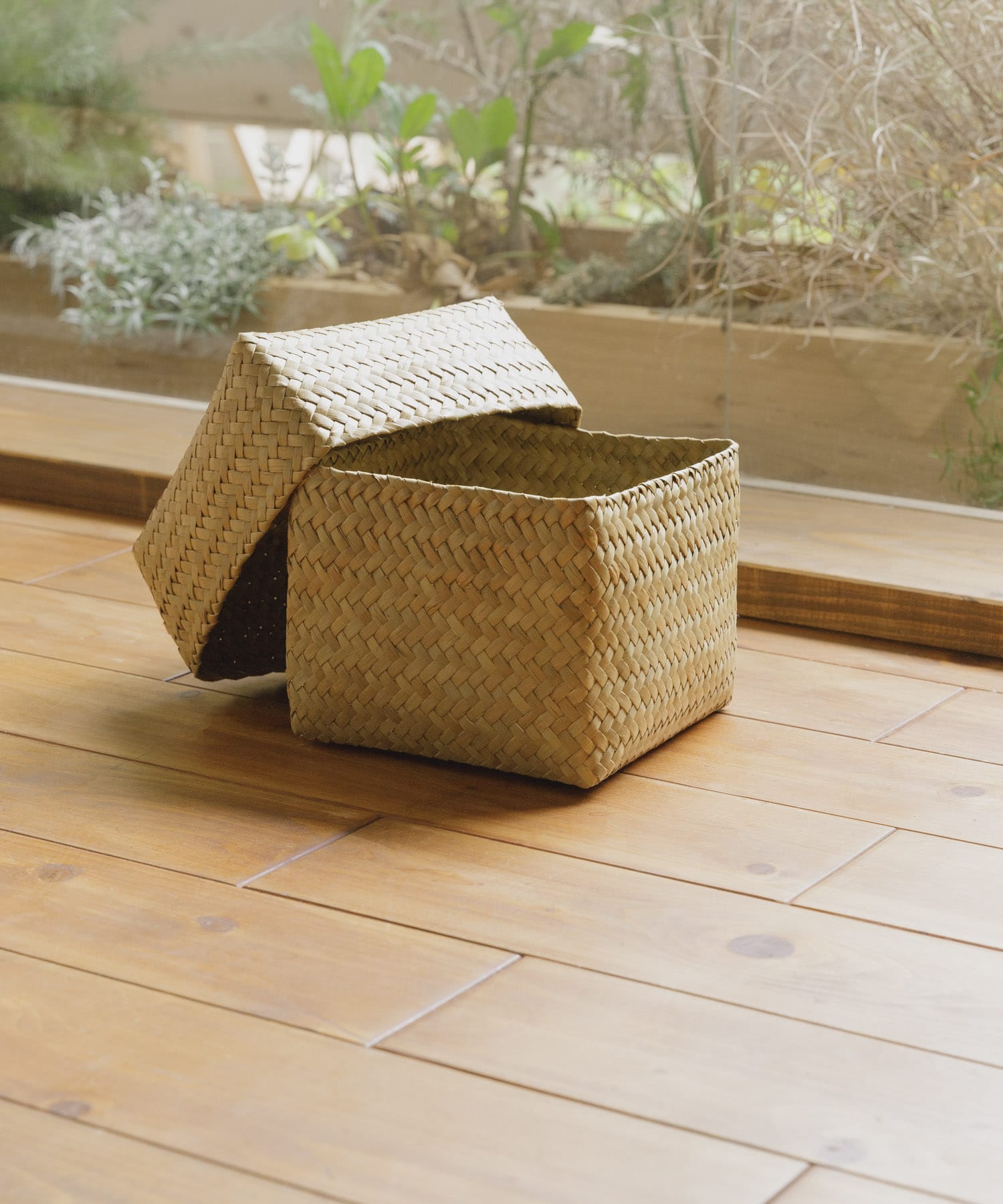 『WEB限定』サイアム　カチュー水草ふた付き四角BOX S