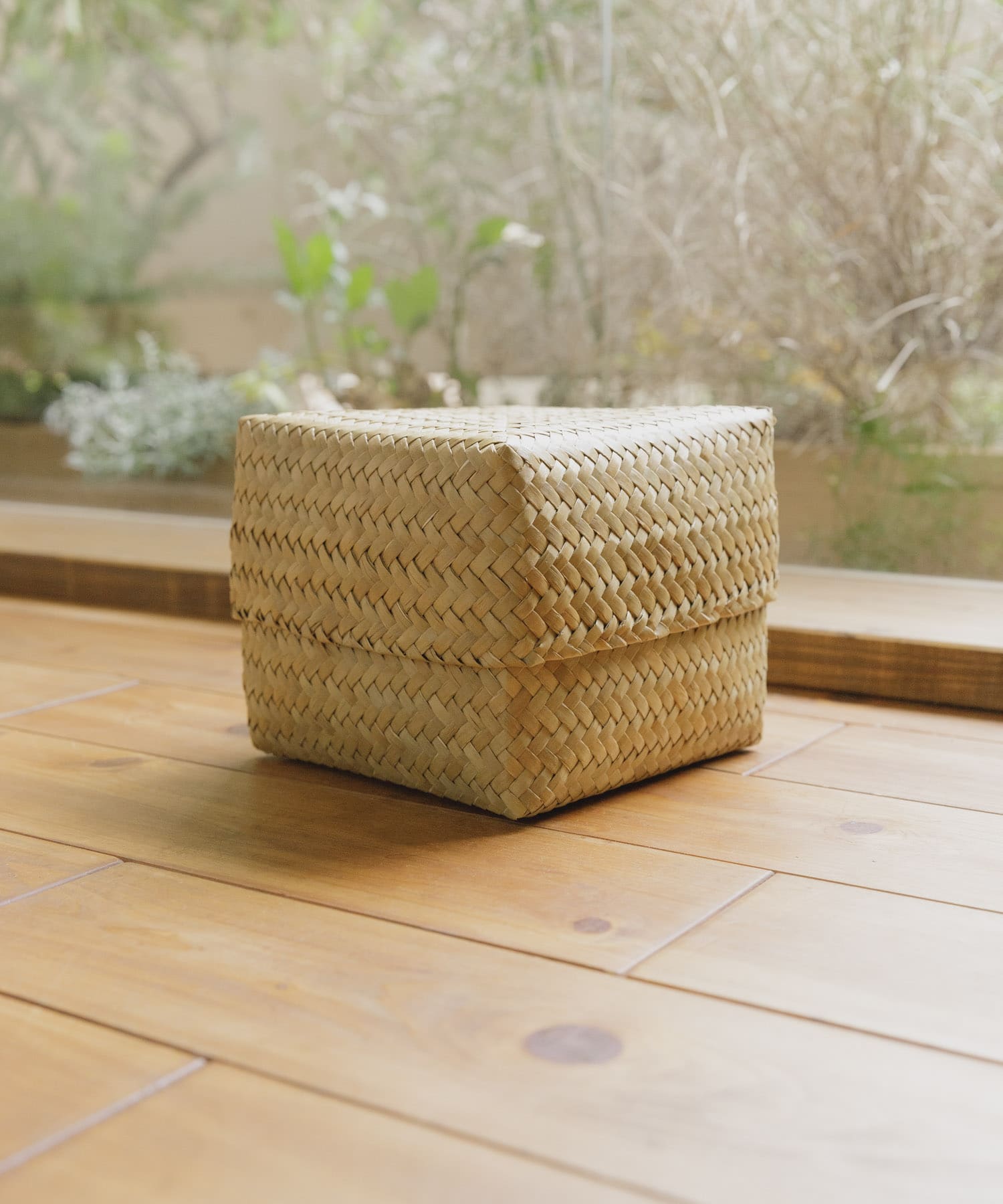 『WEB限定』サイアム　カチュー水草ふた付き四角BOX S スクエア S