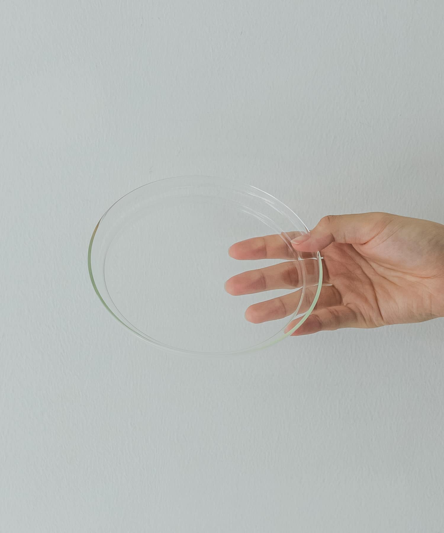 『WEB限定』Trendglas JENA　プレート M - M