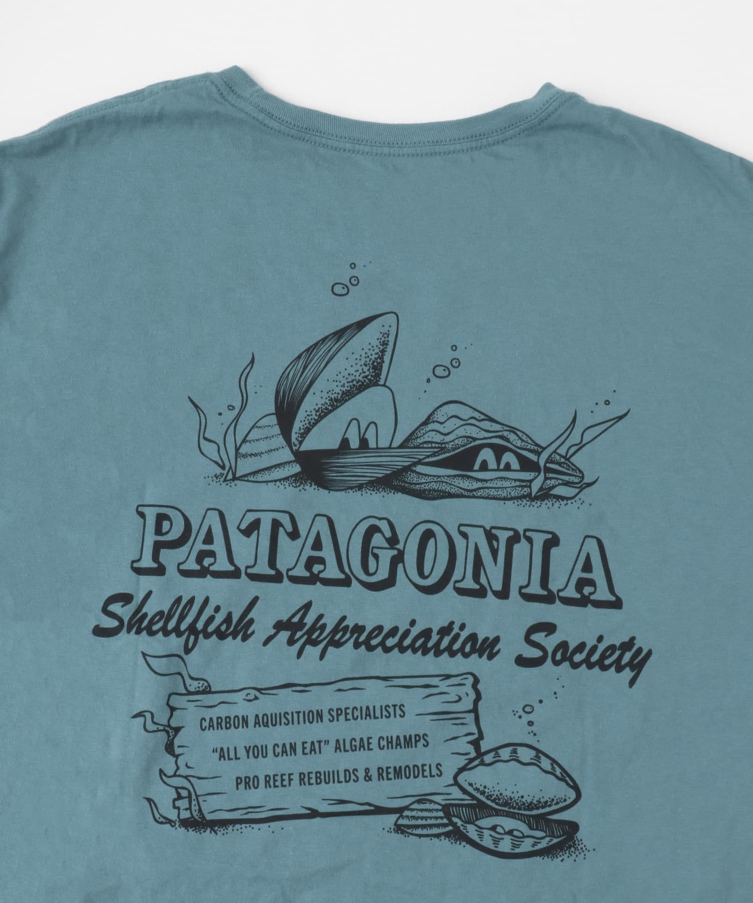 patagonia　M Aquatic Action Ognc T-shirts SFWE S