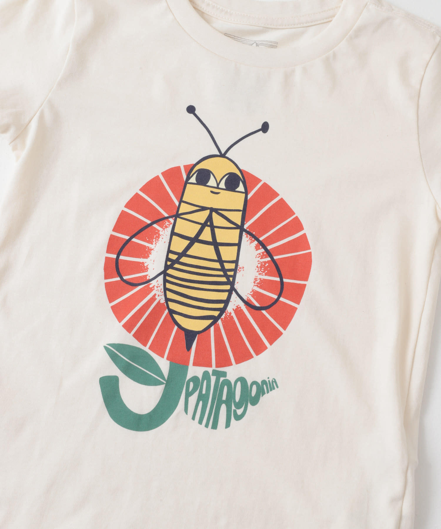 patagonia　Baby Graphic T-Shirts BBTU 2T