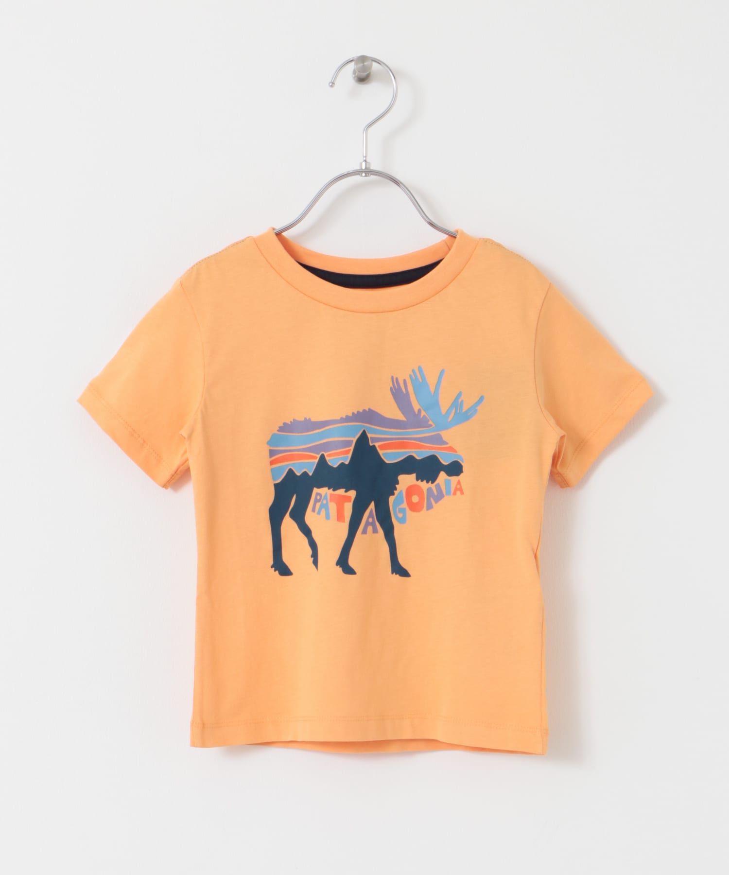 patagonia　Baby Graphic T-Shirts FMHE 2T