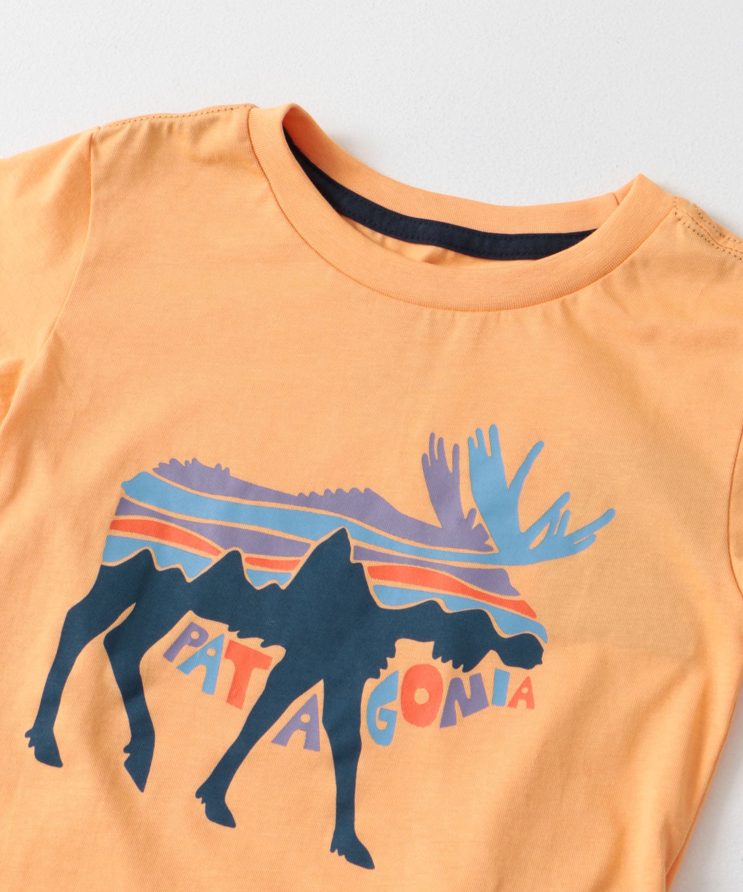 patagonia　Baby Graphic T-Shirts FMHE 2T