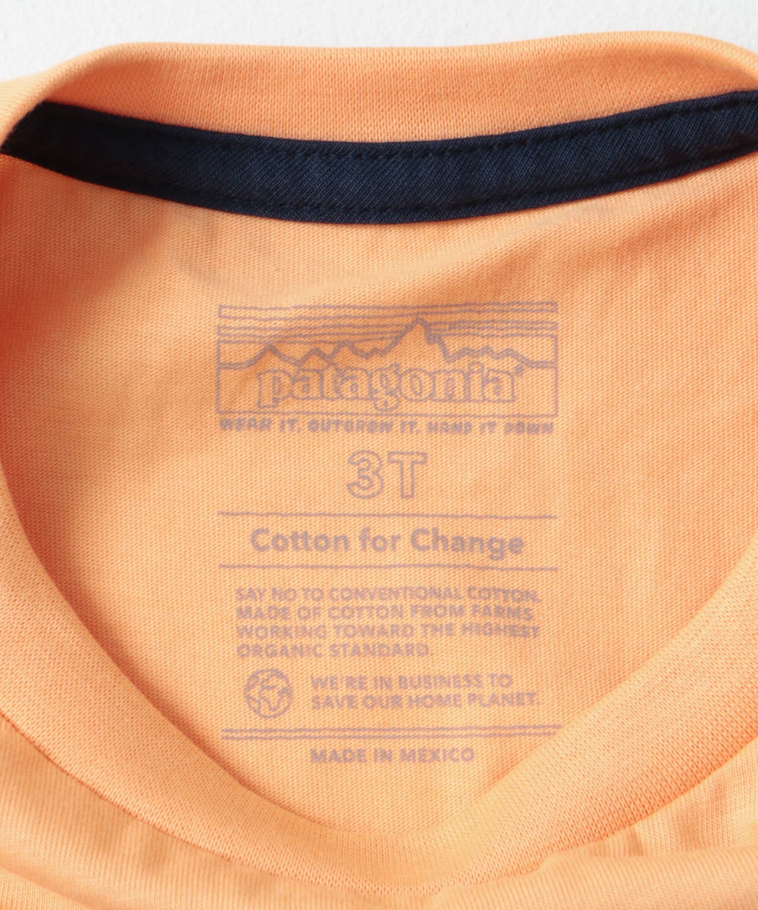 patagonia　Baby Graphic T-Shirts FMHE 2T