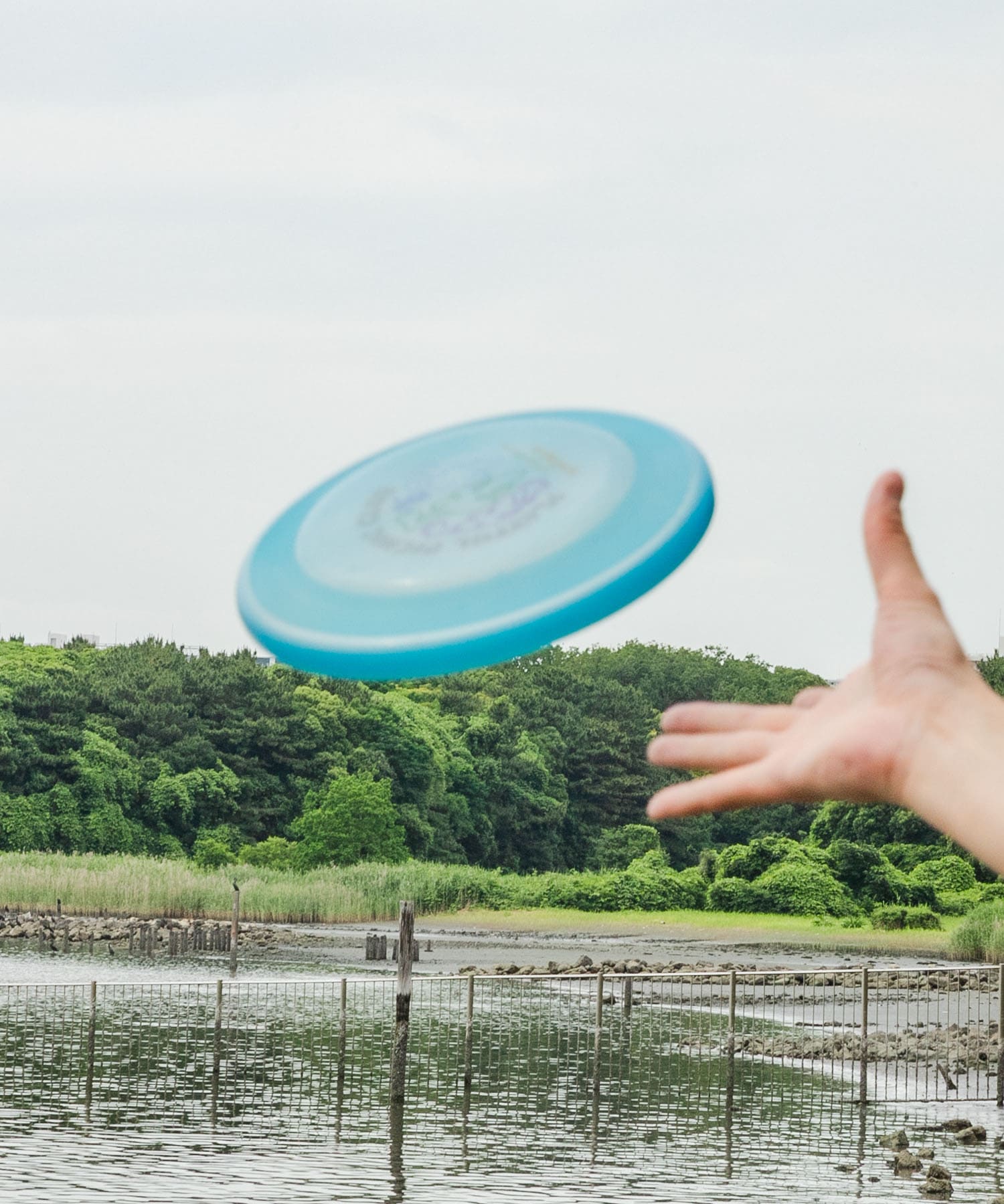 TINY GARDEN PRODUCTS　PPC フライングディスク