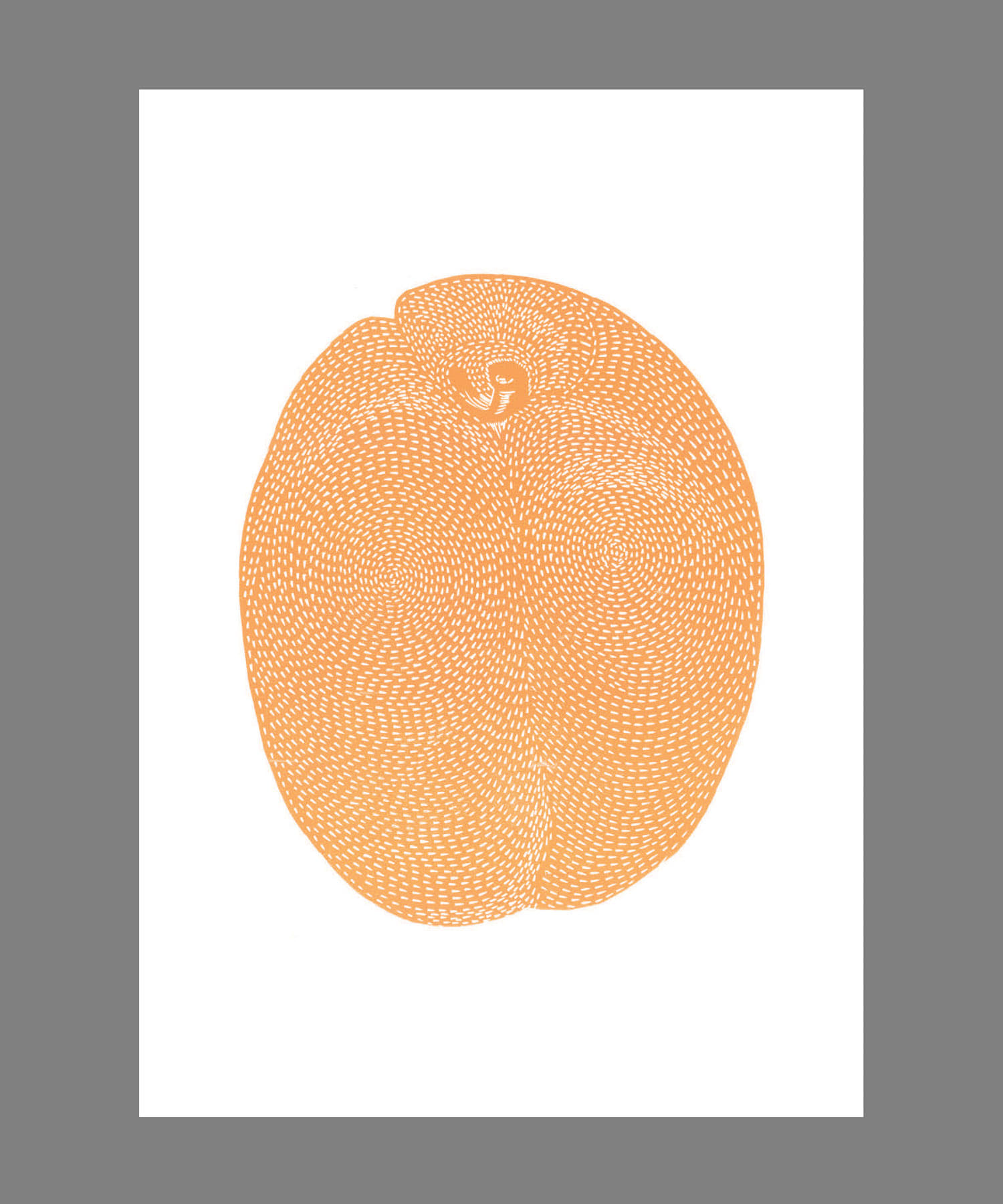 STILLEBEN PRINT COLL　Apricot No.18