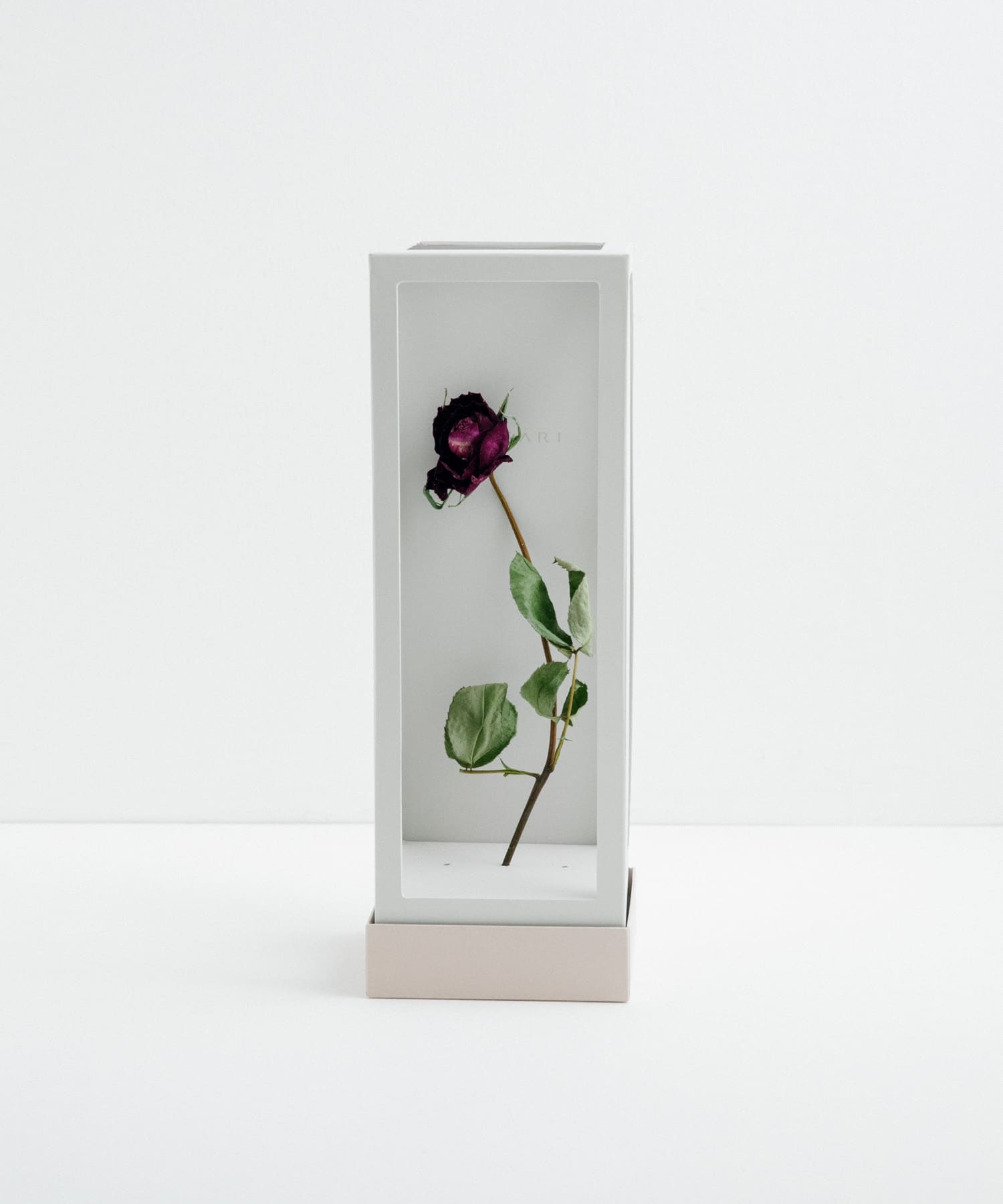MAGARI　世界に一本だけのバラ RED 1 -