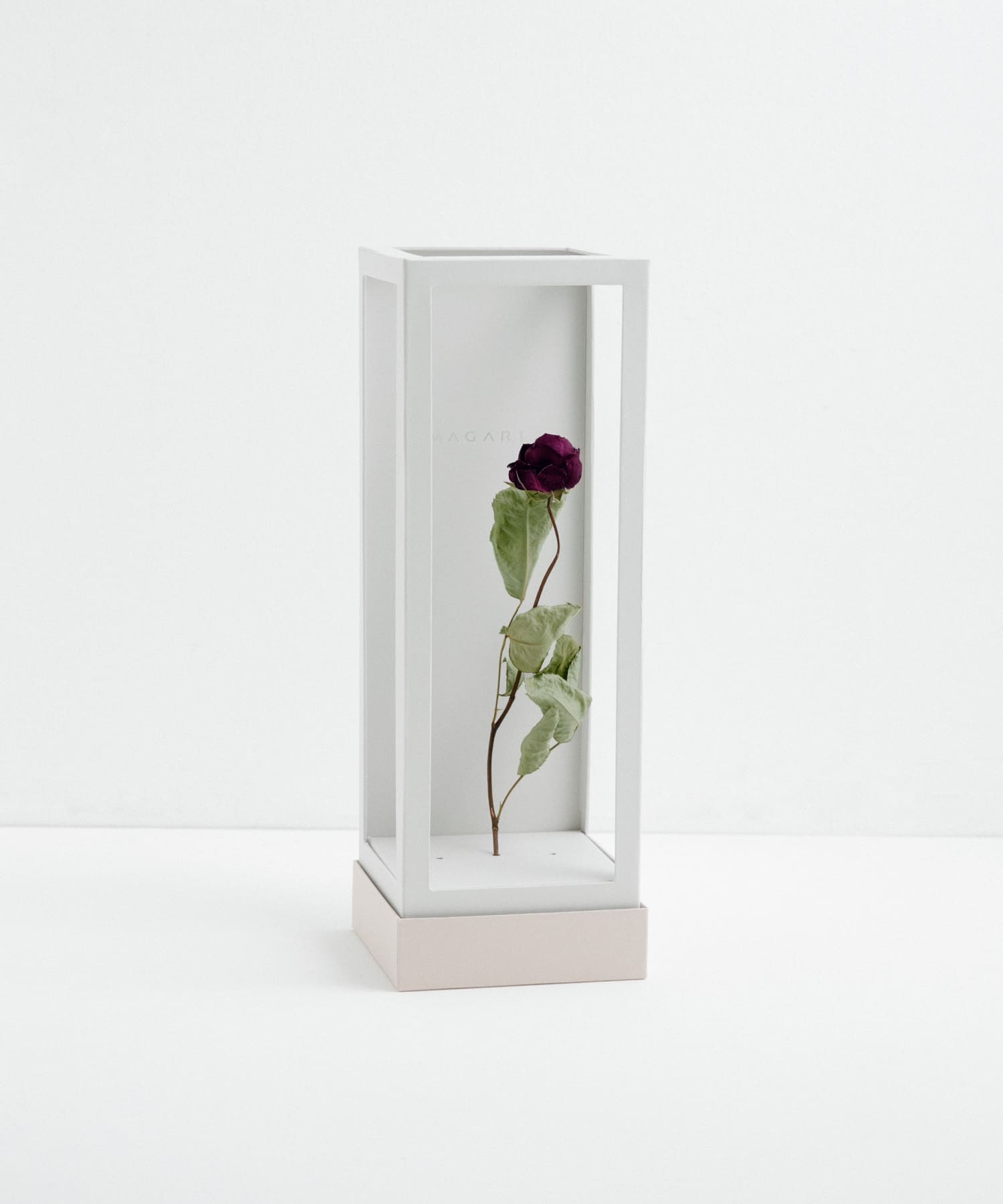 MAGARI　世界に一本だけのバラ