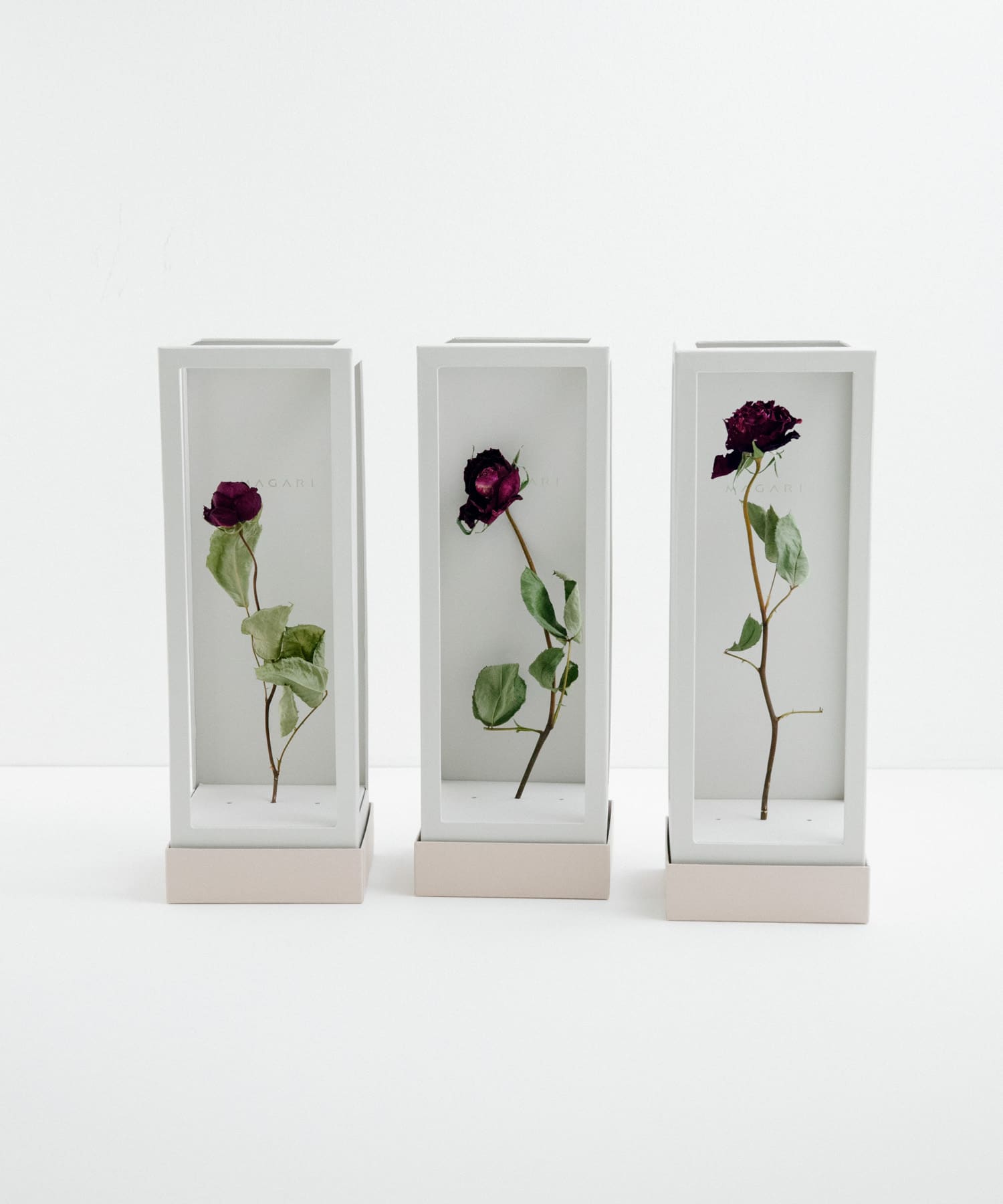 MAGARI　世界に一本だけのバラ RED 3 -