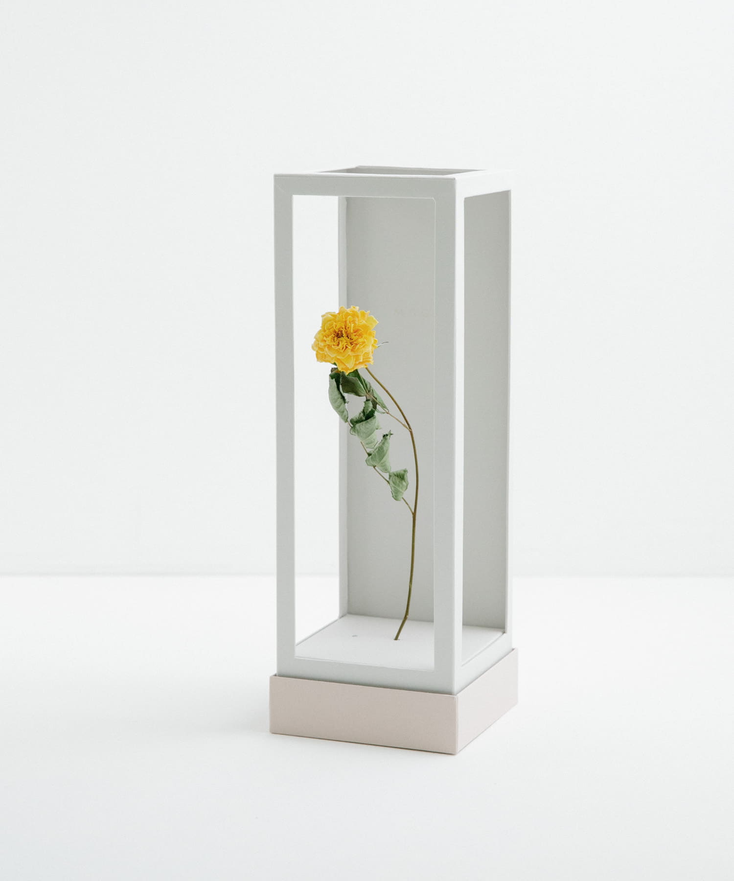 MAGARI　世界に一本だけのバラ YELLOW 2 -