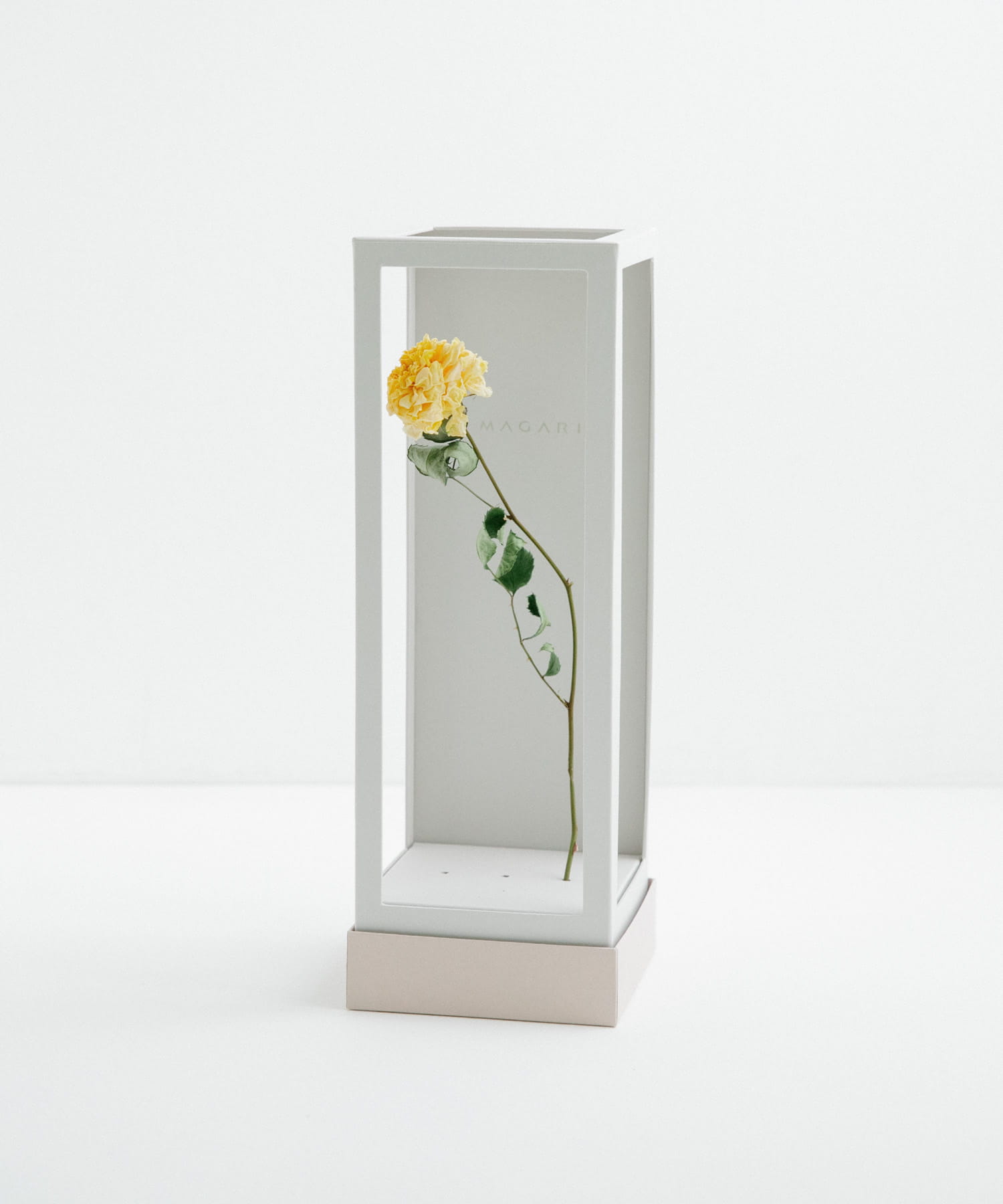 MAGARI　世界に一本だけのバラ YELLOW 3 -