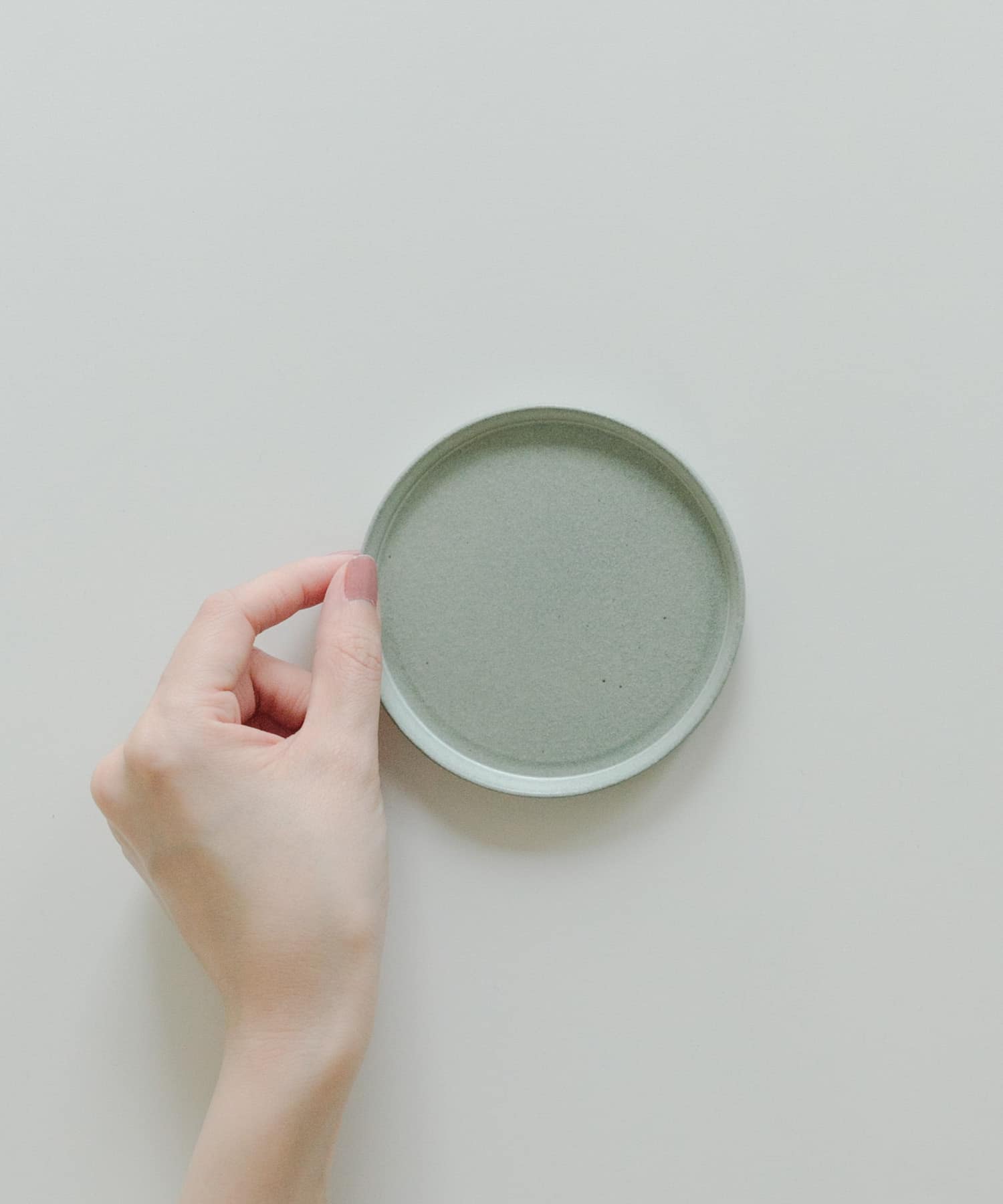 信楽焼 musve plate S 2枚セット mint S