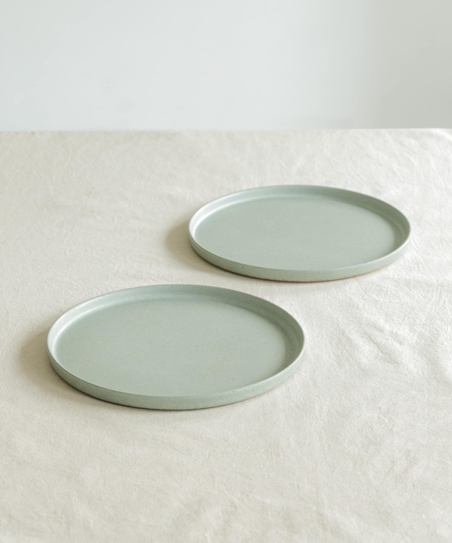 信楽焼 musve plate L 2枚セット mint L
