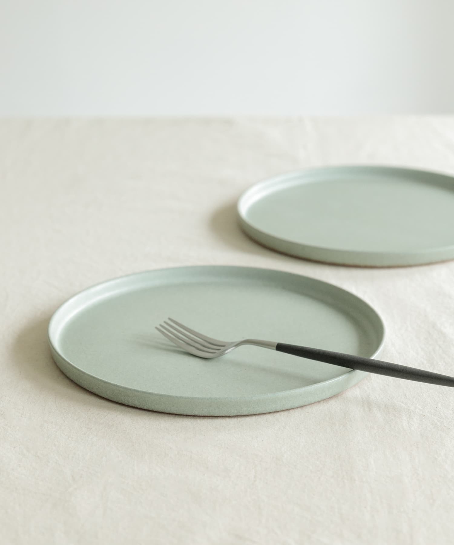 信楽焼 musve plate L 2枚セット mint L