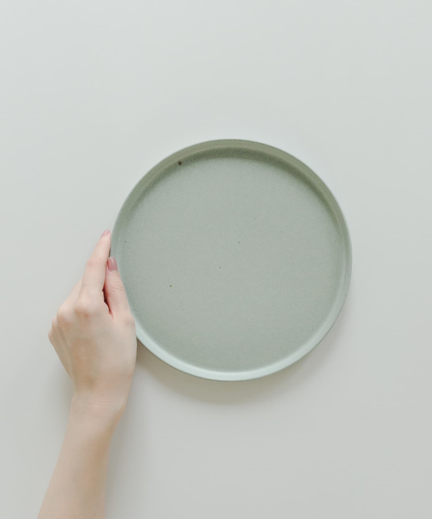 信楽焼 musve plate L 2枚セット mint L