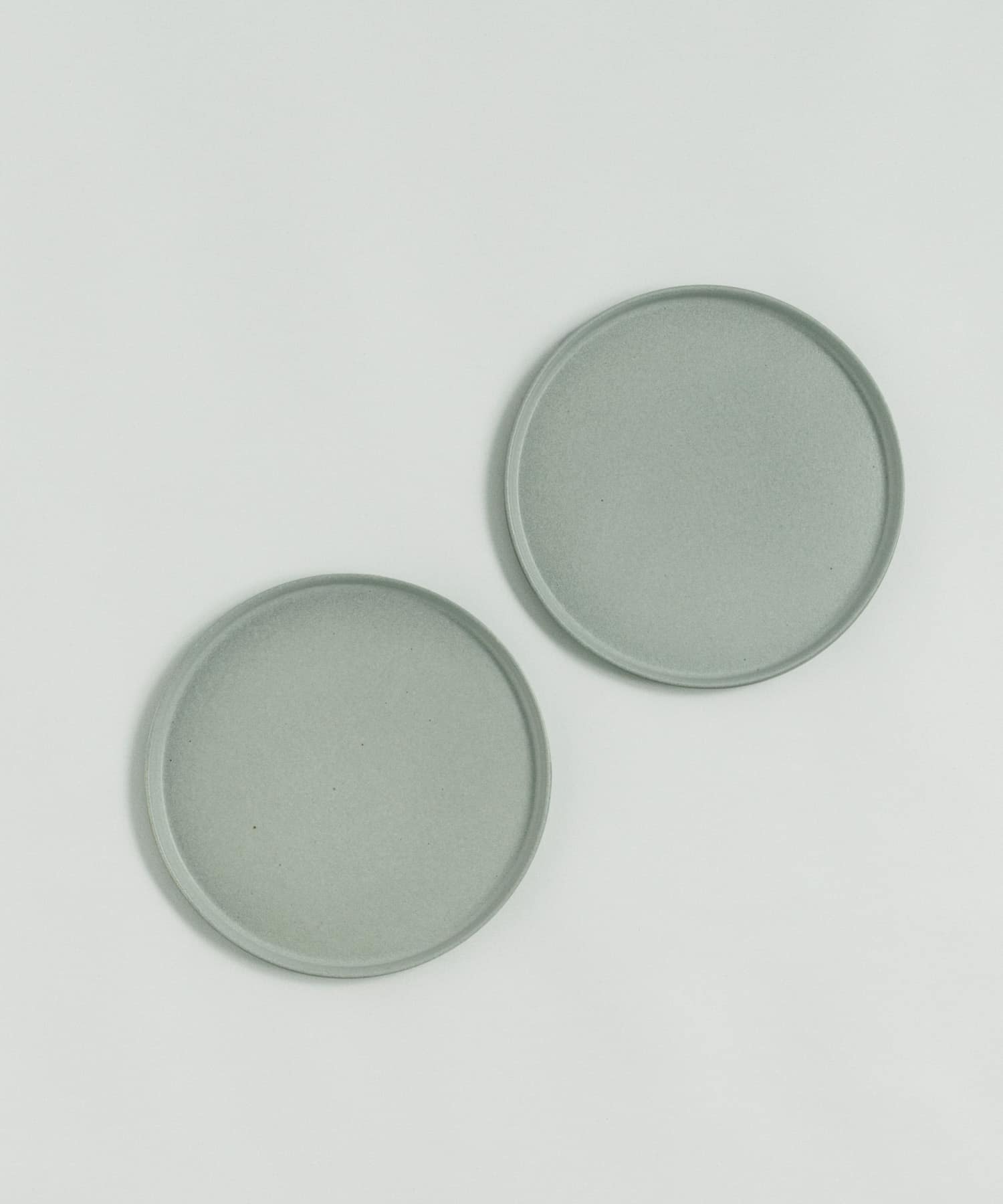 信楽焼 musve plate L 2枚セット mint L