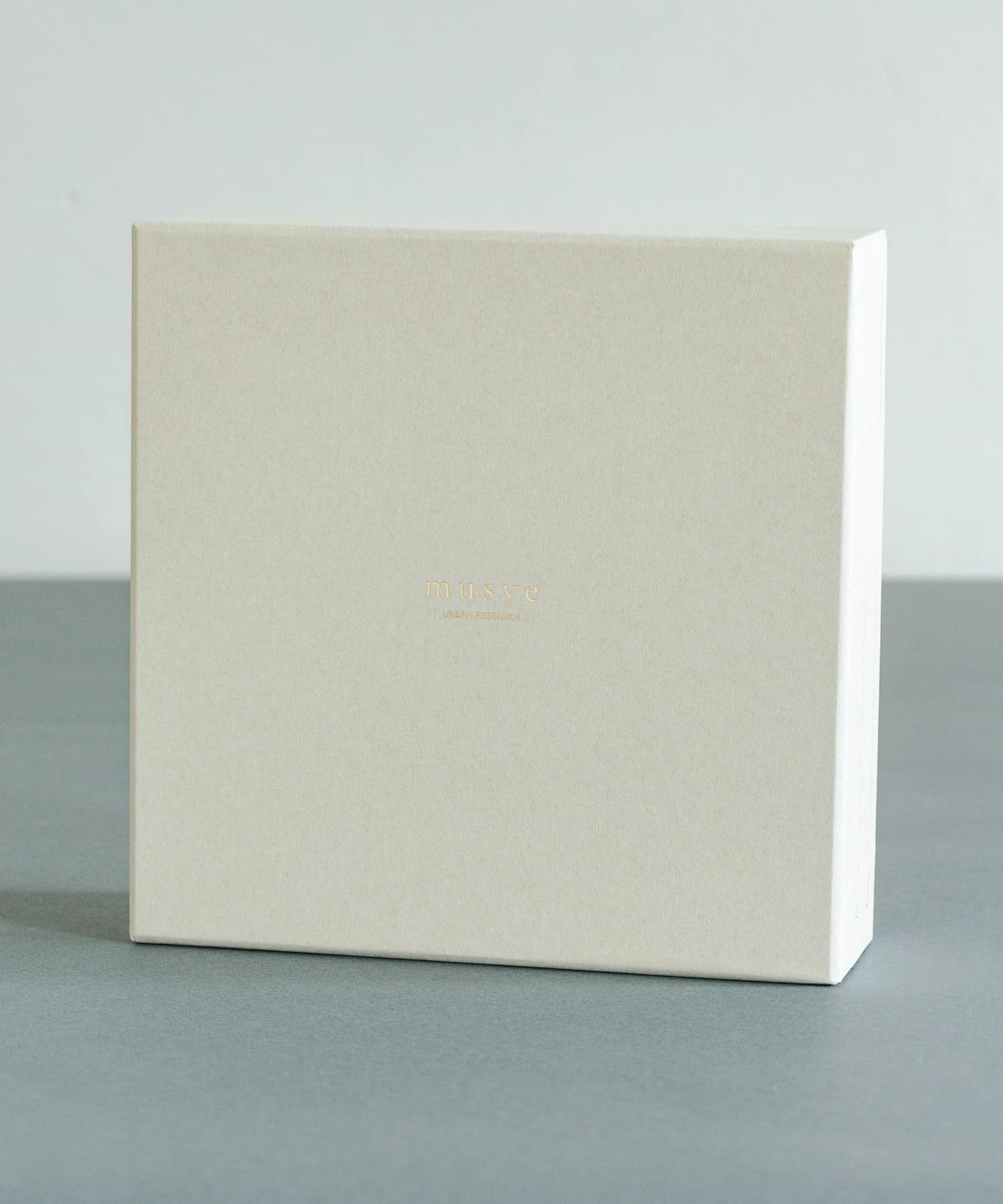 信楽焼 musve plate L 2枚セット mint L